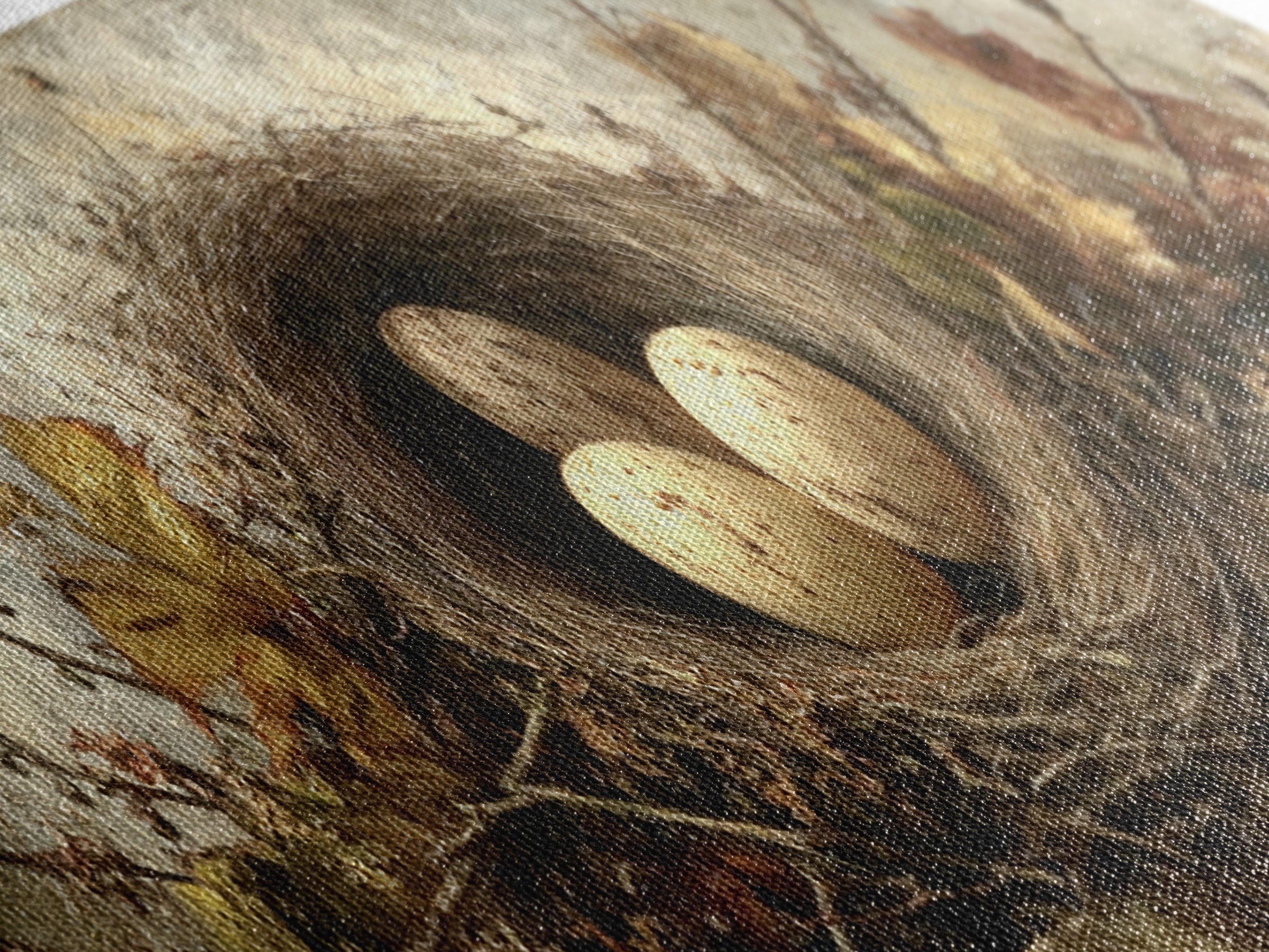 Bird Nest with Eggs and Delicate Twigs Canvas Print, Bird Art, Gallery Decor, Living Room Decor, Oil Painting, Flight, BIR-3x1-62