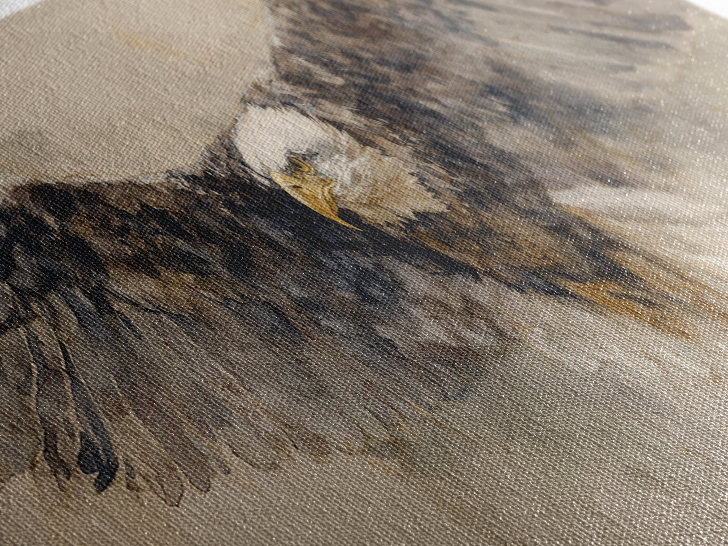Eagle Portrait with Dramatic Mountain Wind Canvas Print, Bird Art, Home Decor, Living Room Decor, Flight, Modern Wall Art, BIR-3x1-76