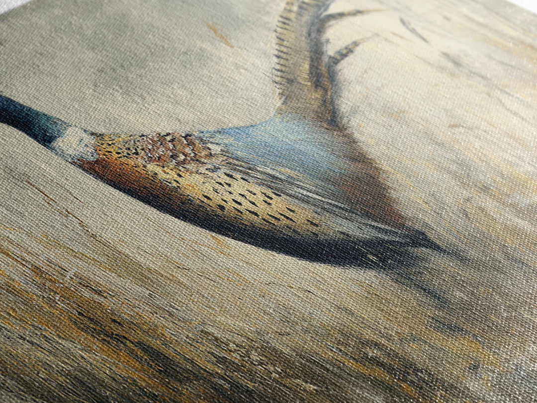 Pheasant with Ornate Feather Details Canvas Print, Bird Art, Art Deco, Living Room Decor, Fine Art, Flight, Gallery Wall, BIR-3x1-83