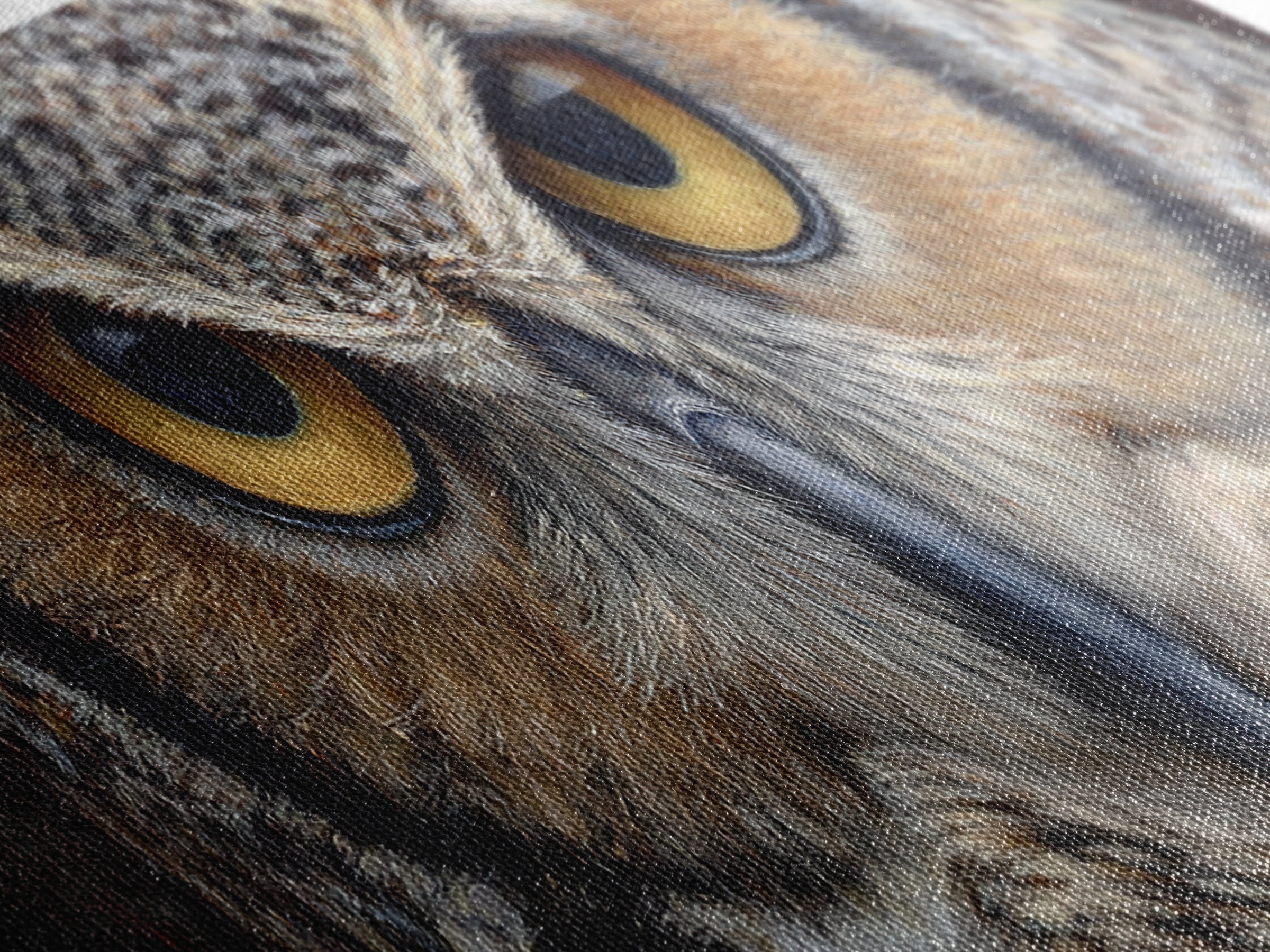 Owl Portrait with Wise Golden Eyes Canvas Print, Bird Art, Forest Wall Art, Living Room Decor, Flight, Minimalist Decor, BIR-3x1-93