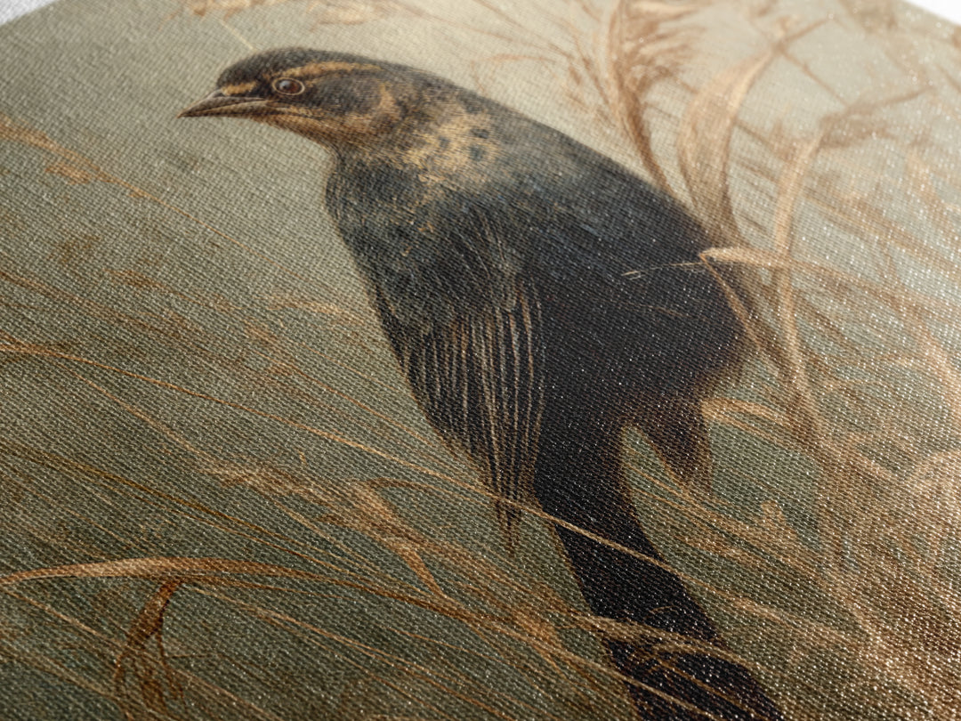 Blackbird on Gold Wheat Field Framed Canvas Print, Bird Art, Fine Art Print, Living Room Decor, Oil Painting, Flight, BIR-3x2-100
