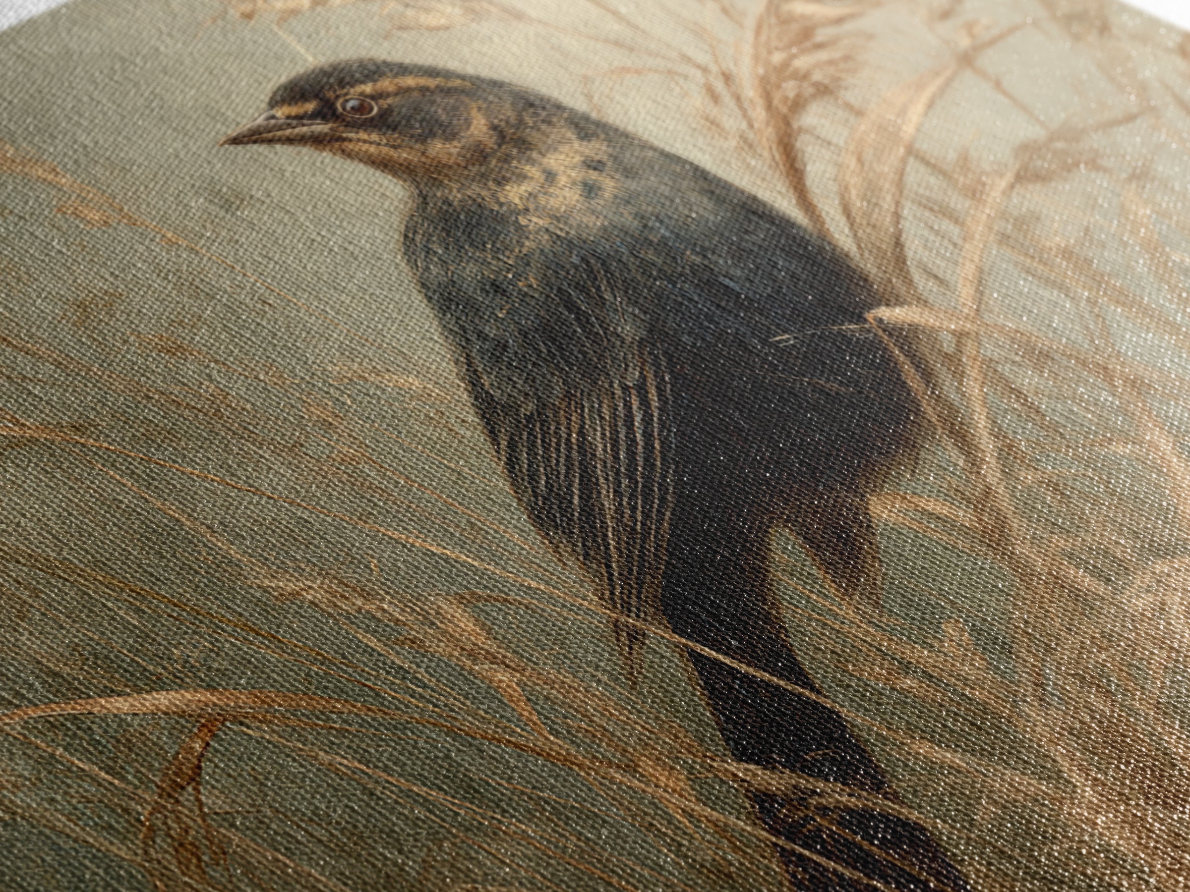 Blackbird on Gold Wheat Field Framed Canvas Print, Bird Art, Fine Art Print, Living Room Decor, Oil Painting, Flight, BIR-3x2-100