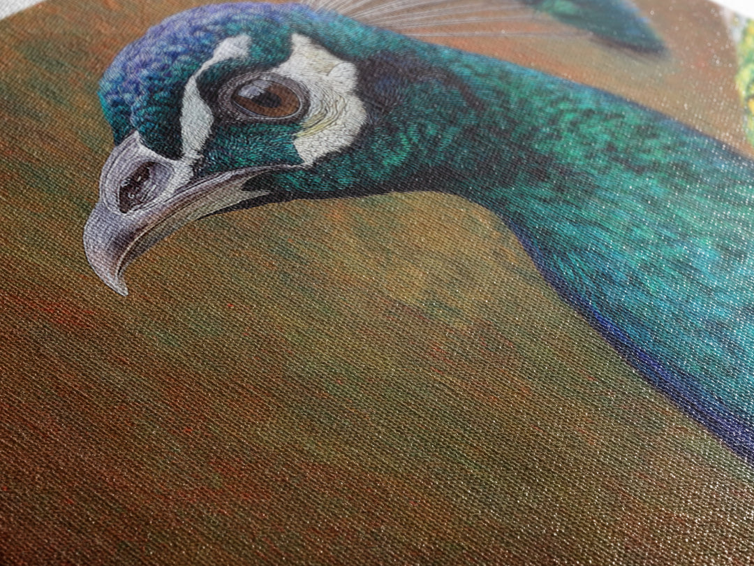 Peacock with Jewel Tone Feather Pattern Canvas Print, Bird Art, Mid Century Wall Art, Living Room Decor, Fine Art, Flight, BIR-3x2-11