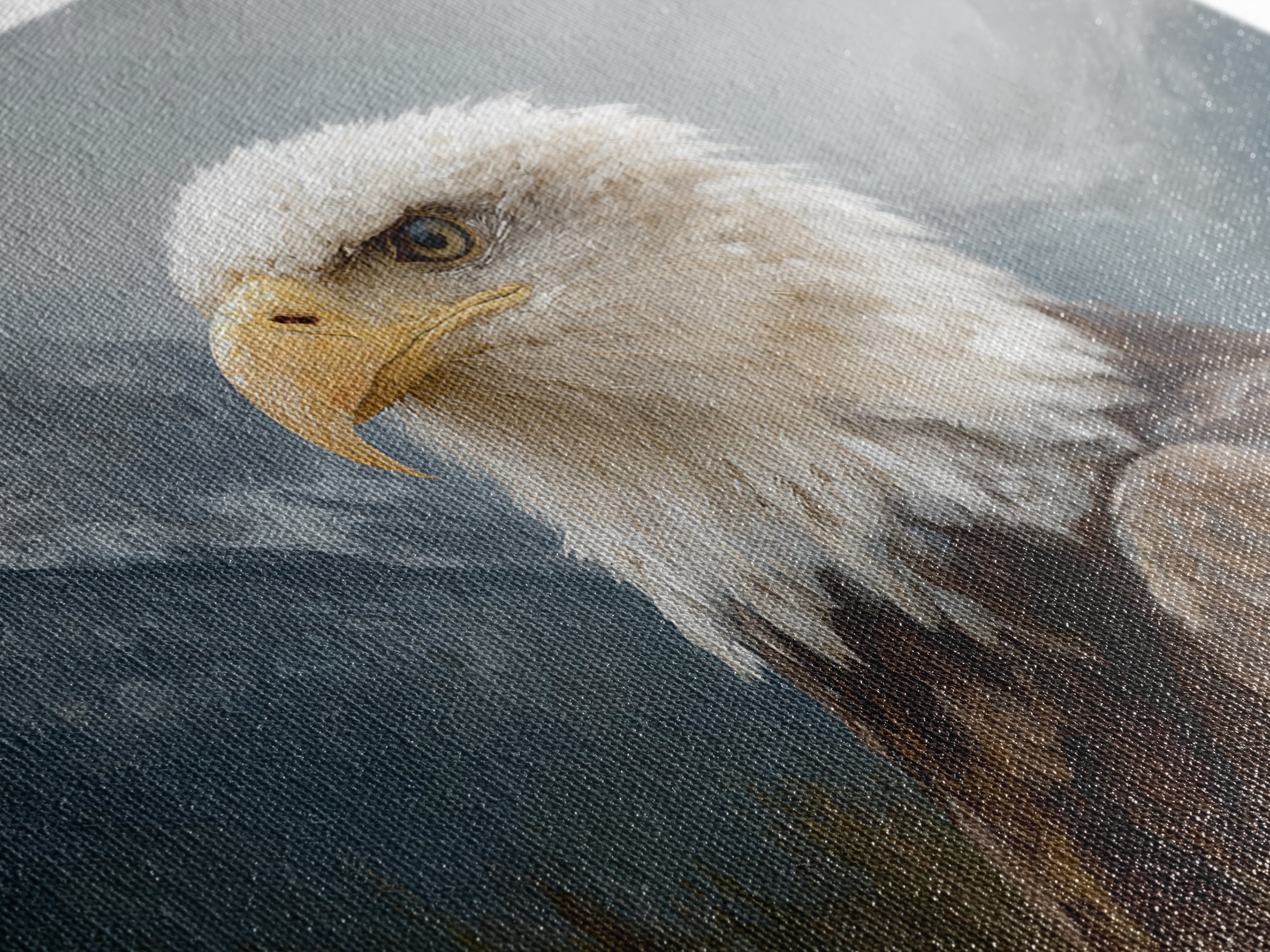 Eagle Portrait with Dramatic Mountain Wind Canvas Print, Bird Art, Modern Wall Art, Living Room Decor, Fine Art, Flight, BIR-3x2-16