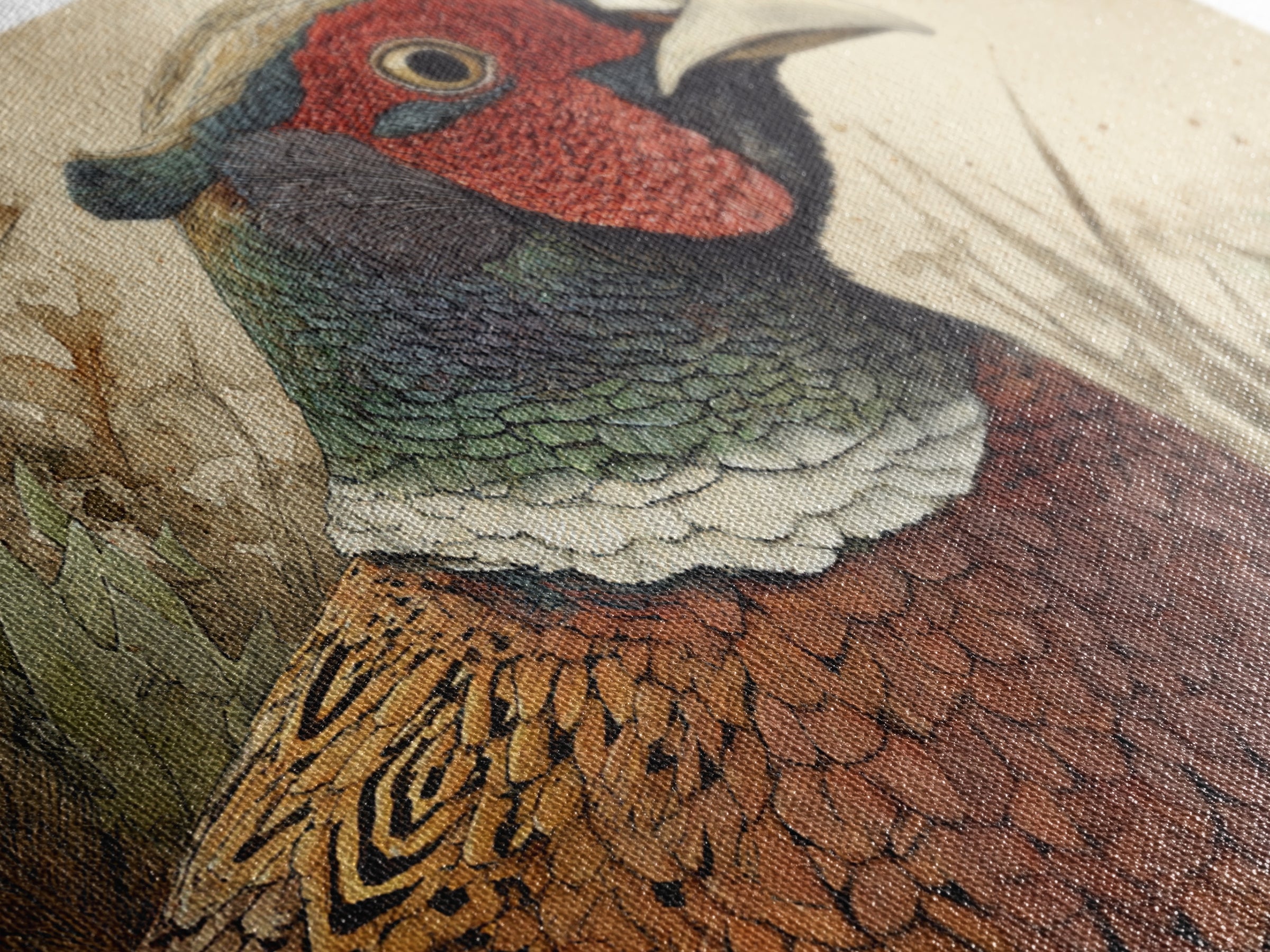 Pheasant with Ornate Feather Details Framed Canvas Print, Bird Art, Modern Art, Living Room Decor, Fine Art, Flight, Floral Art, BIR-3x2-23