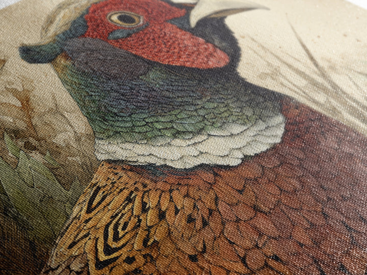 Pheasant with Ornate Feather Details Framed Canvas Print, Bird Art, Modern Art, Living Room Decor, Fine Art, Flight, Floral Art, BIR-3x2-23