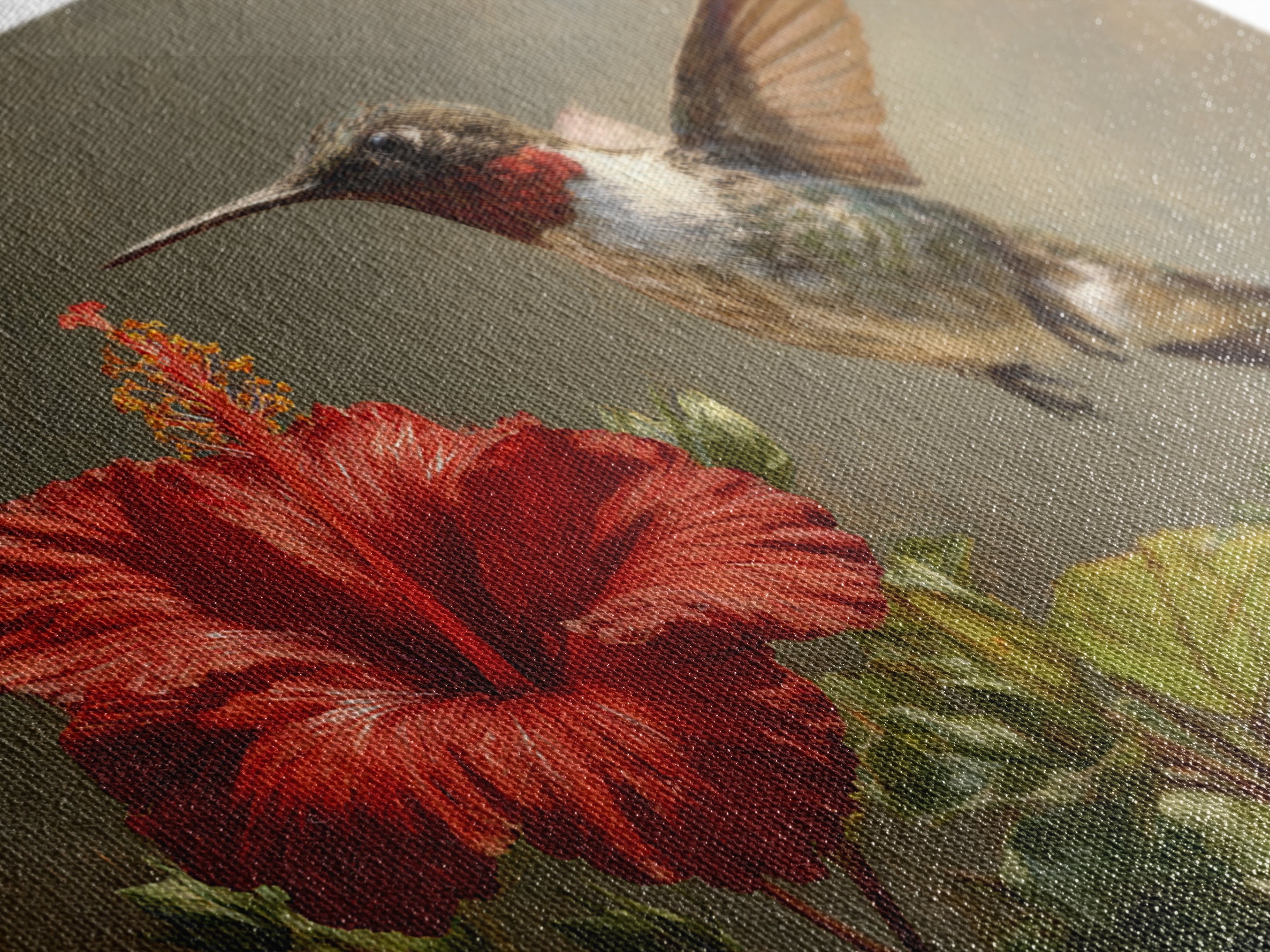 Hummingbird Hovering Beside Bright Hibiscus Canvas Print, Bird Art, Botanical Wall Art, Living Room Decor, Fine Art, Flight, BIR-3x2-32