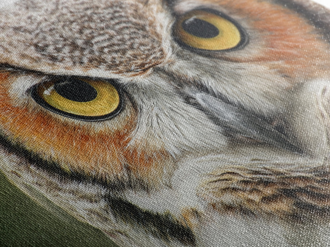 Owl Portrait with Wise Golden Eyes Canvas Print, Bird Art, Bird Prints, Living Room Decor, Fine Art, Flight, Modern Decor, BIR-3x2-33