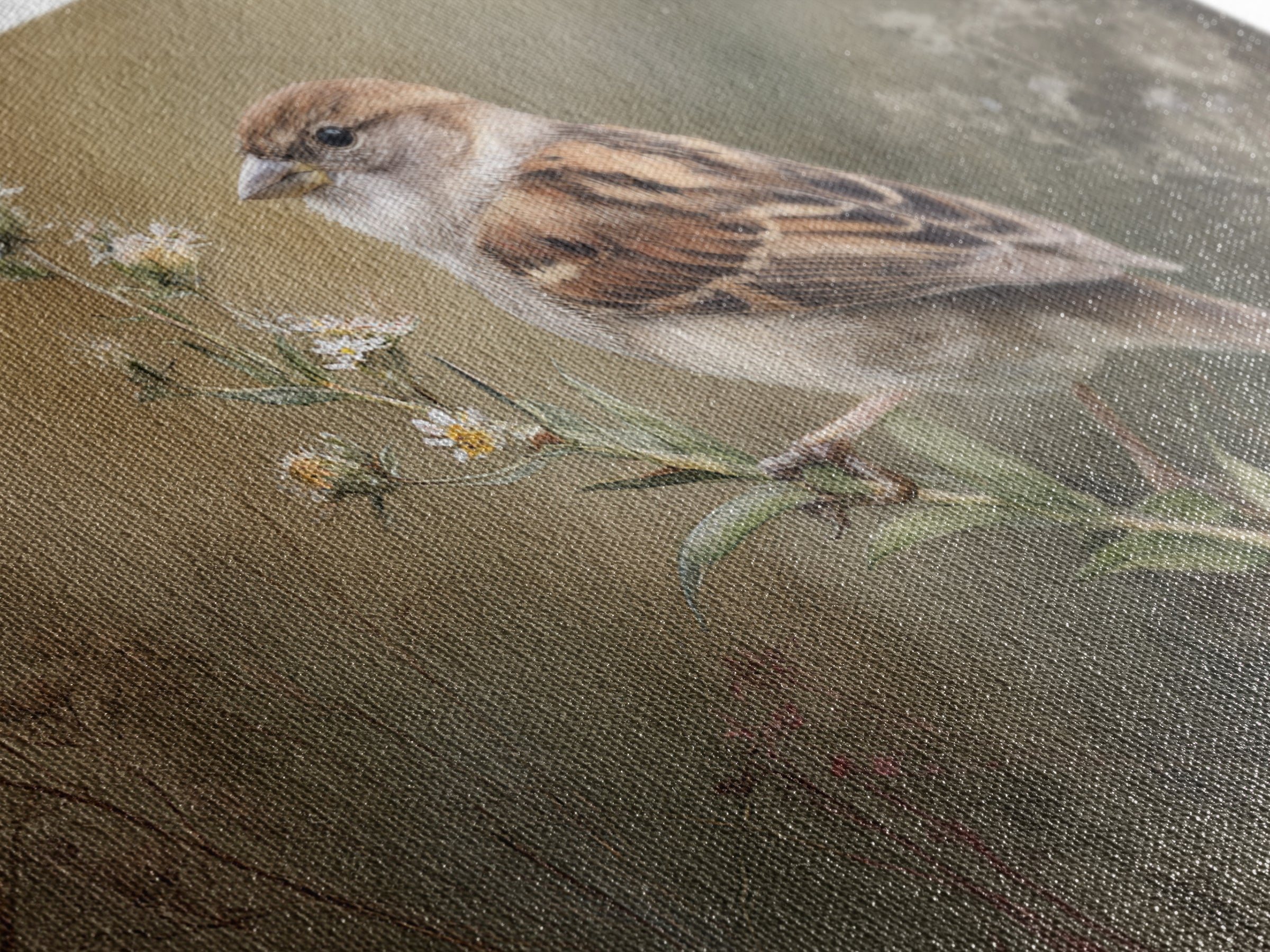 Small Sparrow on Wildflower Stem Canvas Print, Bird Art, Modern Wall Art, Living Room Decor, Watercolor Art, Flight, BIR-3x2-42