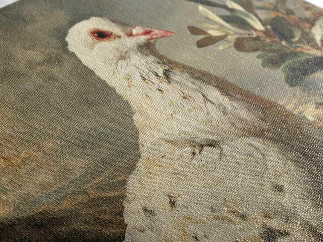 White Dove with Olive Branch and Calm Canvas Print, Bird Art, Bird Prints, Living Room Decor, Fine Art, Flight, Modern Decor, BIR-3x2-44