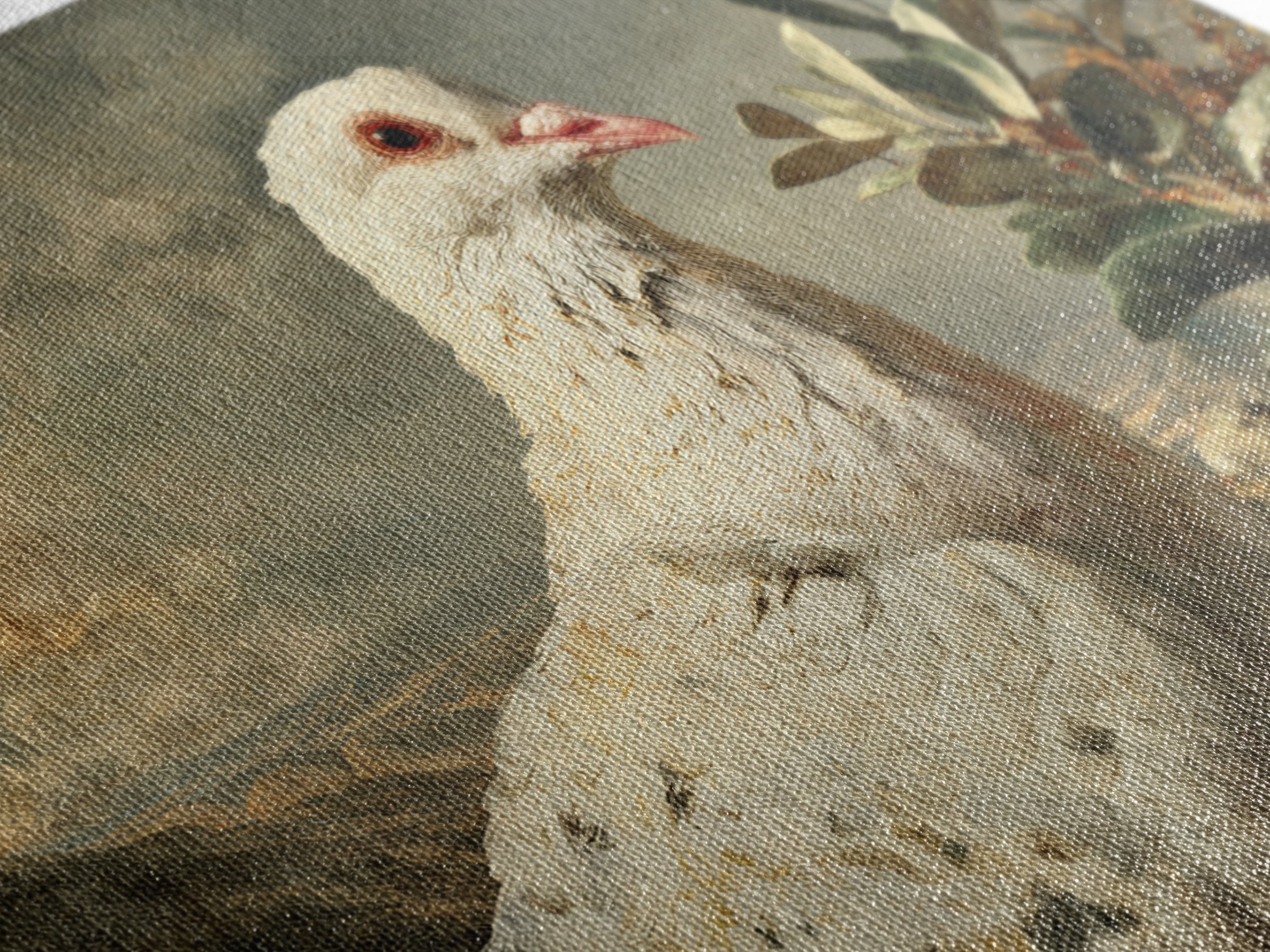 White Dove with Olive Branch and Calm Canvas Print, Bird Art, Bird Prints, Living Room Decor, Fine Art, Flight, Modern Decor, BIR-3x2-44