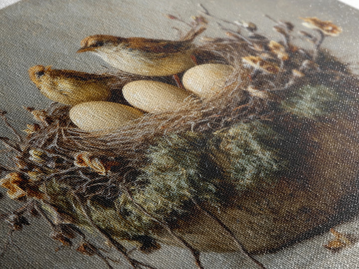 Bird Nest with Eggs and Delicate Twigs Framed Canvas Print, Bird Art, Living Room Decor, Oil Painting, Flight, BIR-3x2-50