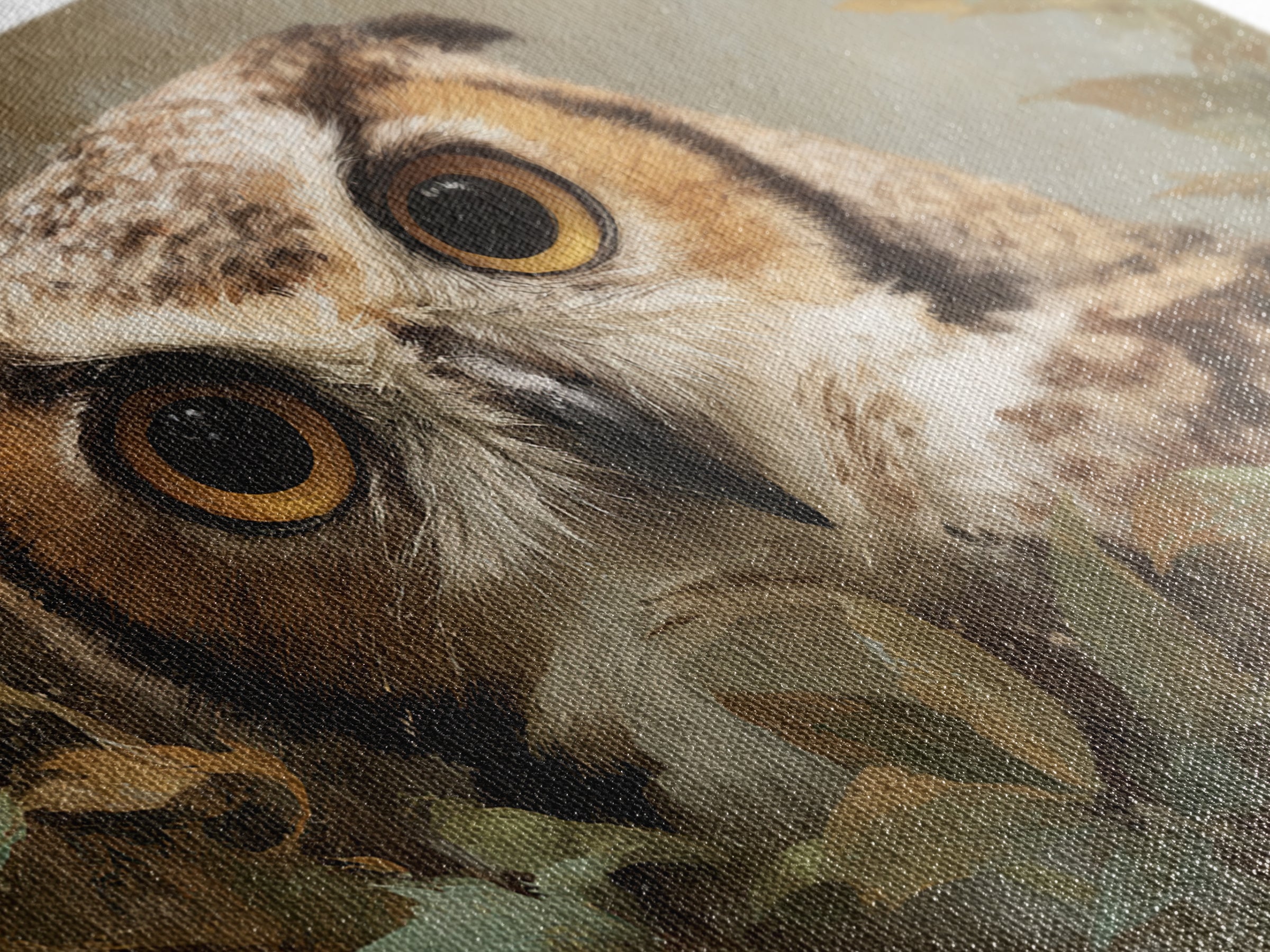 Owl Portrait with Wise Golden Eyes Canvas Print, Bird Art, Bird Prints, Living Room Decor, Fine Art, Flight, Modern Decor, BIR-3x2-57
