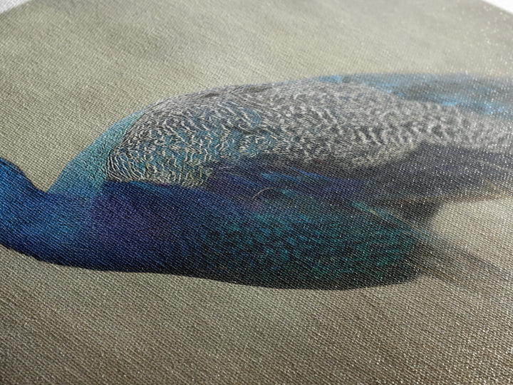 Peacock with Jewel Tone Feather Pattern Framed Canvas Print, Bird Art, Art Print, Living Room Decor, Oil Painting, Flight, BIR-3x2-59