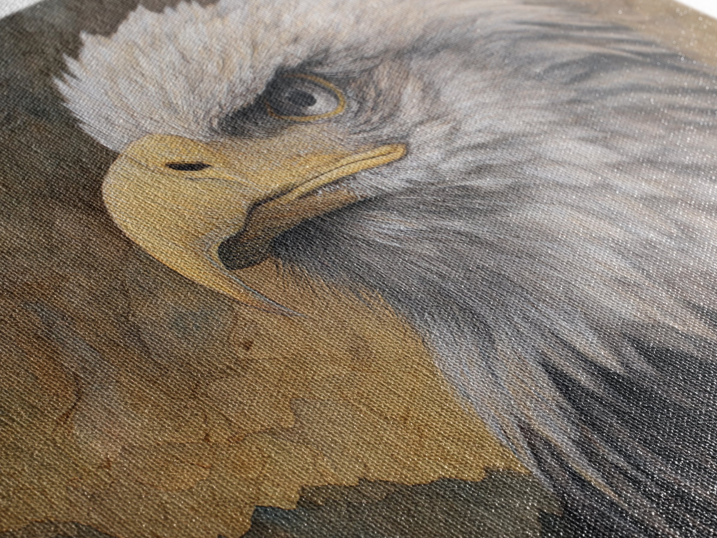Eagle Portrait with Dramatic Mountain Wind Framed Canvas Print, Bird Art, Gallery Decor, Living Room Decor, Fine Art, Flight, BIR-3x2-64