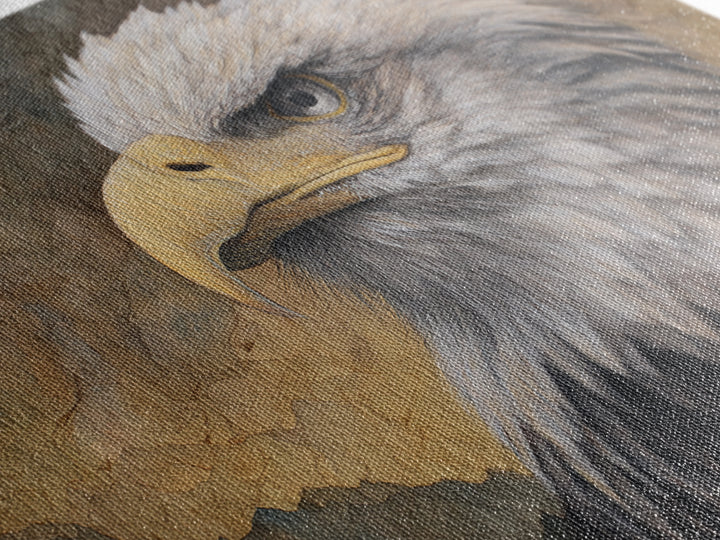 Eagle Portrait with Dramatic Mountain Wind Framed Canvas Print, Bird Art, Gallery Decor, Living Room Decor, Fine Art, Flight, BIR-3x2-64