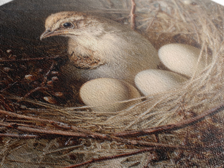 Bird Nest with Eggs and Delicate Twigs Framed Canvas Print, Bird Art, Living Room Decor, Oil Painting, Flight, BIR-3x2-74