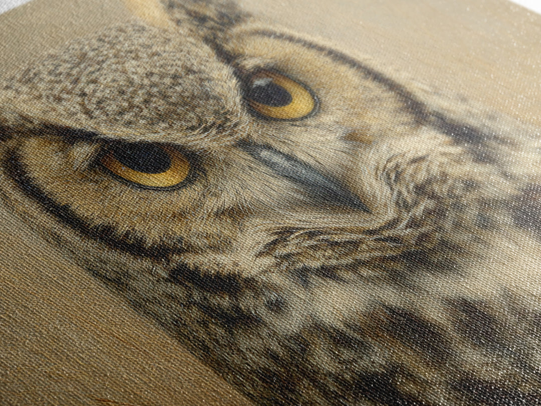Owl Portrait with Wise Golden Eyes Framed Canvas Print, Bird Art, Bird Wall Art, Living Room Decor, Oil Painting, Flight, BIR-3x2-81