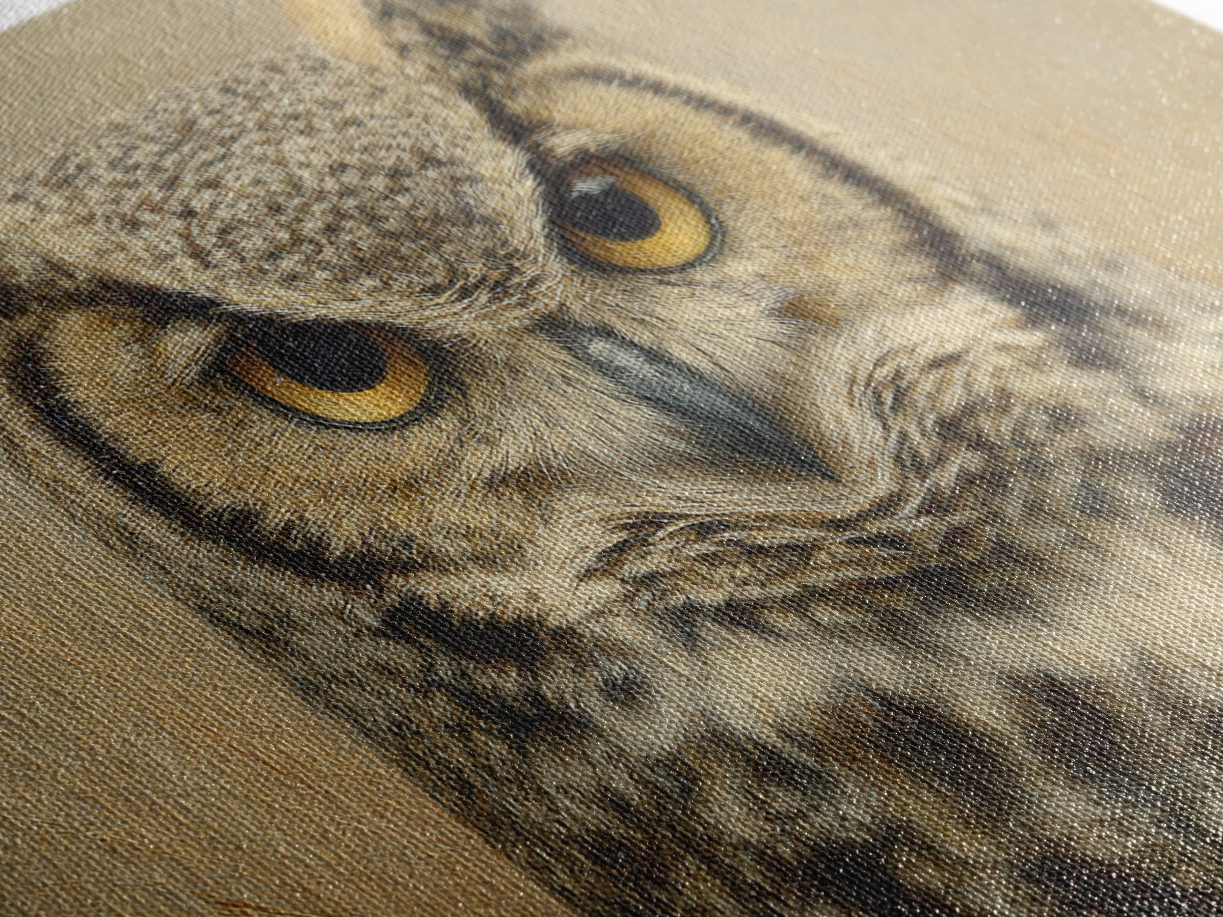 Owl Portrait with Wise Golden Eyes Framed Canvas Print, Bird Art, Bird Wall Art, Living Room Decor, Oil Painting, Flight, BIR-3x2-81
