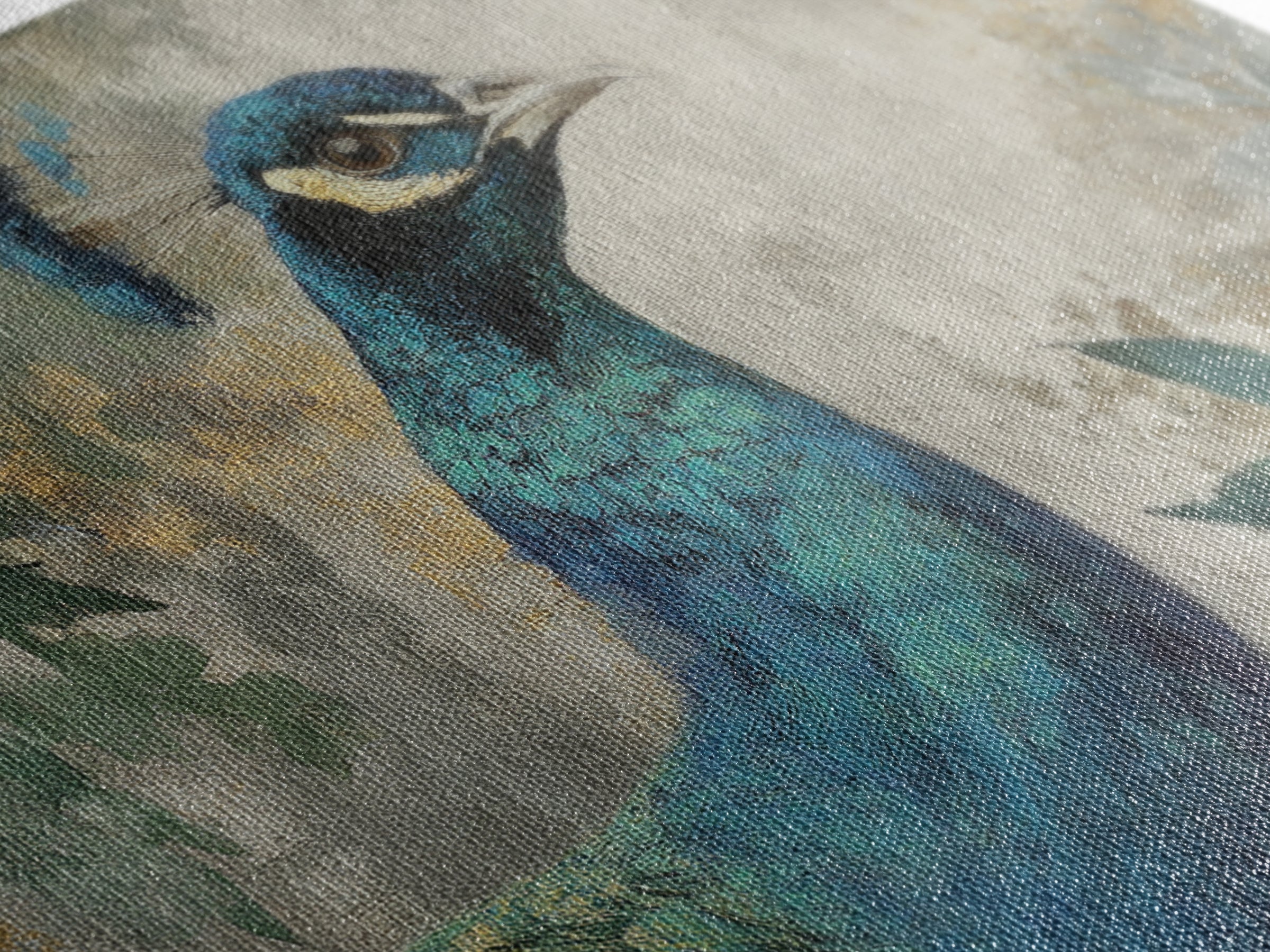 Peacock with Jewel Tone Feather Pattern Canvas Print, Bird Art, Wall Art, Living Room Decor, Flight, Japanese Wall Art, BIR-3x2-83