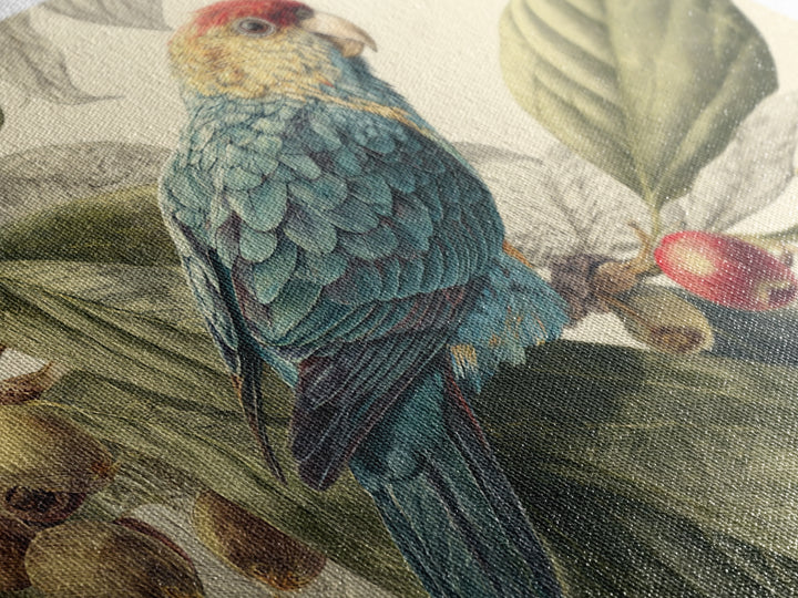 Parrot Among Tropical Leaves and Fruit Canvas Print, Bird Art, Rustic Home Decor, Living Room Decor, Oil Painting, Flight, BIR-3x2-89