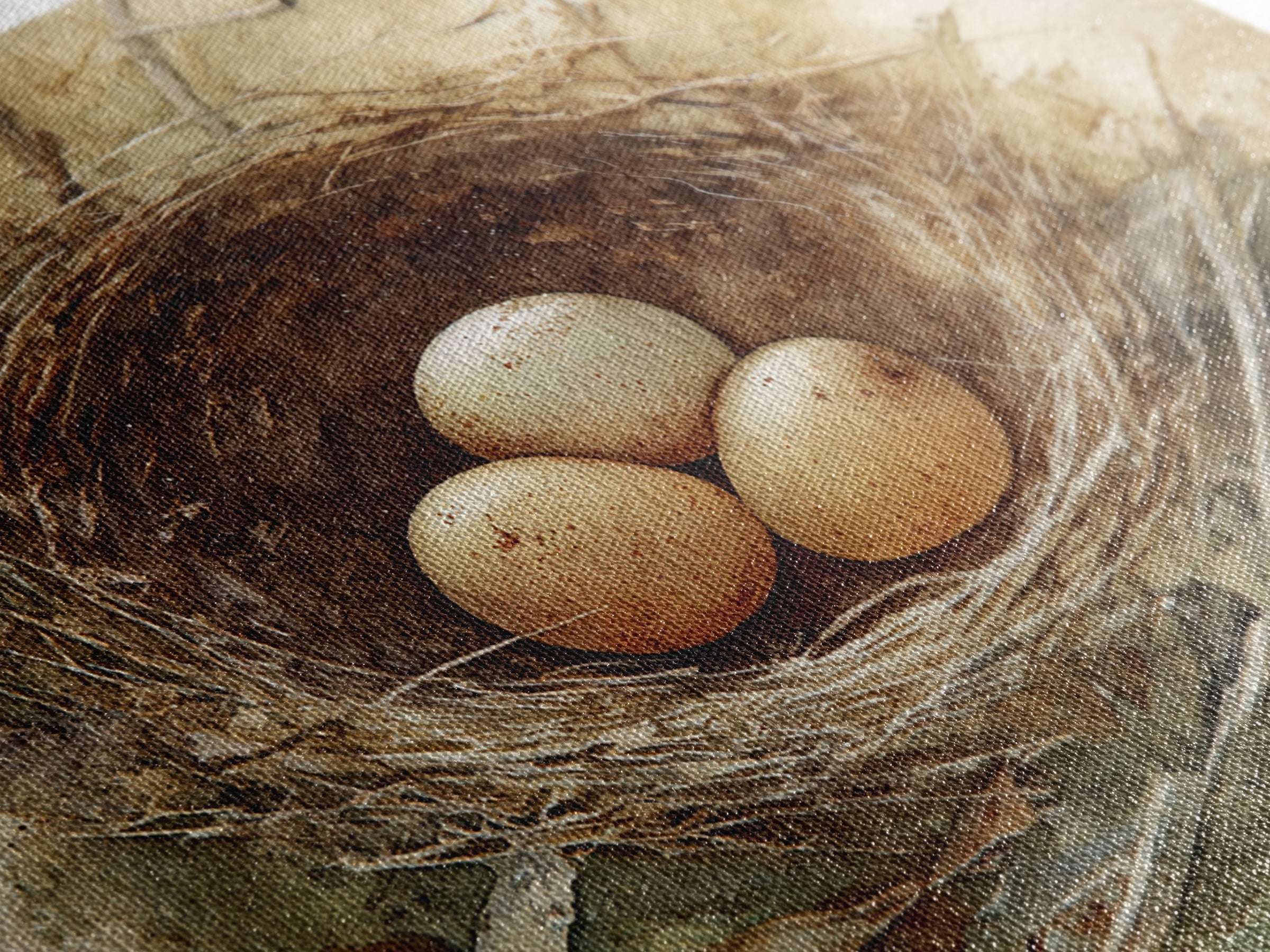 Bird Nest with Eggs and Delicate Twigs Canvas Print, Bird Art, Mid Century Wall Art, Living Room Decor, Fine Art, Flight, BIR-3x2-98