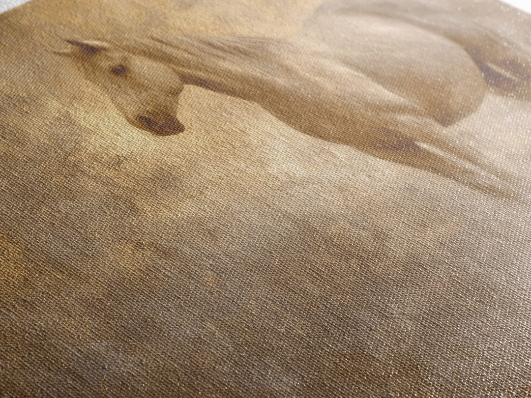 Wild Horse in Dusty Golden Light Canvas Print, Boho Art, Art Deco, Living Room Decor, Fine Art, Bohemian, Modern Wall Art, BOH-3x2-84