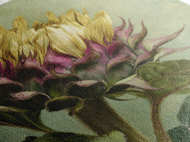 Sunflower Head Closeup Framed Canvas Print, Botanical Art, Framed Wall Art, Living Room Decor, Botanic, Boho Wall Decor, BOT-1x1-16