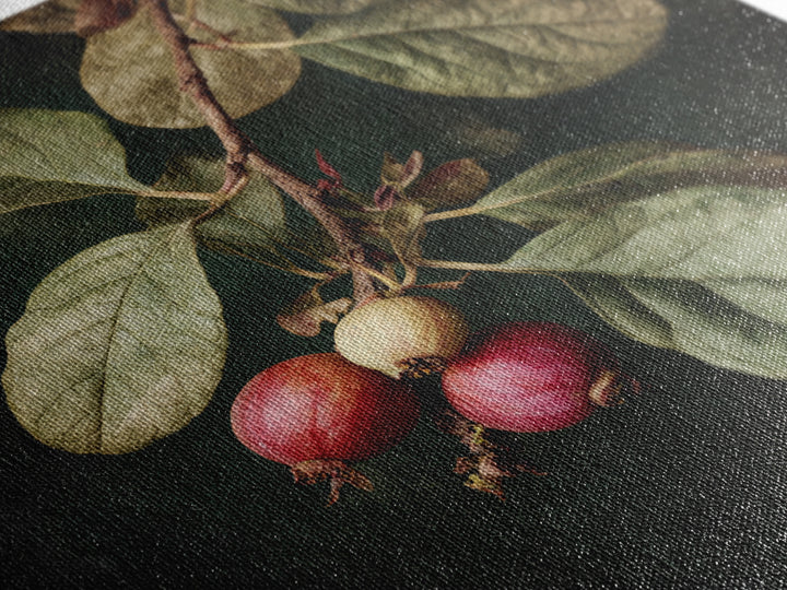 Fig Branch with Fruit and Broad Leaves Framed Canvas Print, Botanical Art, Neutral Decor, Living Room Decor, Oil Painting, BOT-1x1-63