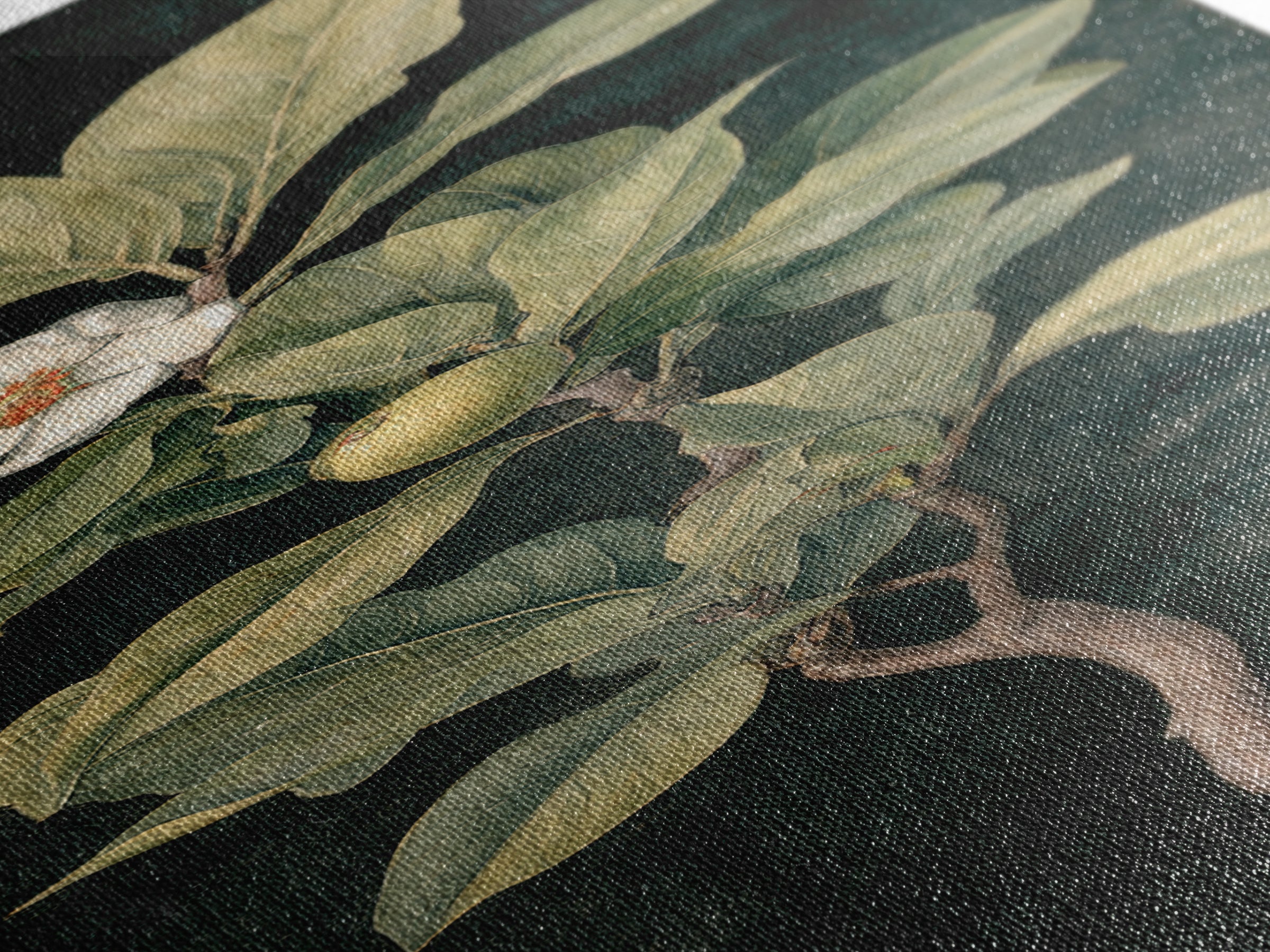 Fig Branch with Fruit and Broad Leaves Canvas Print, Botanical Art, Modern Wall Art, Living Room Decor, Fine Art, Botanic, BOT-1x3-51