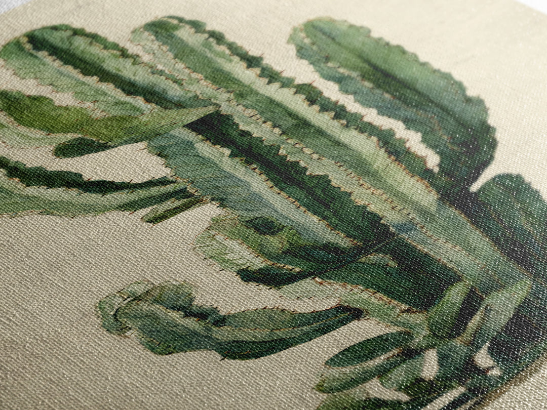 Cactus Botanical Plate Canvas Print, Botanical Art, Digital Wall Art, Living Room Decor, Oil Painting, Botanic, BOT-1x3-73