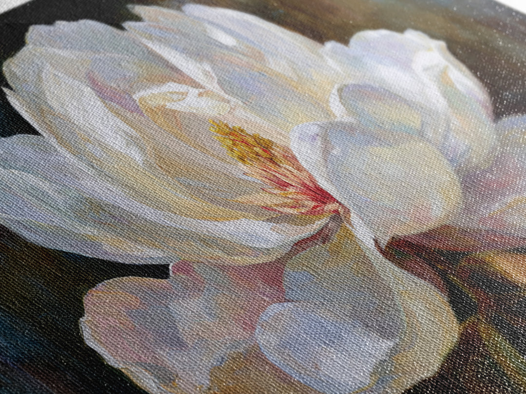 Dramatic White Magnolia on Dark Background Framed Canvas Print, Botanical Art, Art, Living Room Decor, Oil Painting, Botanic, BOT-2x1-50