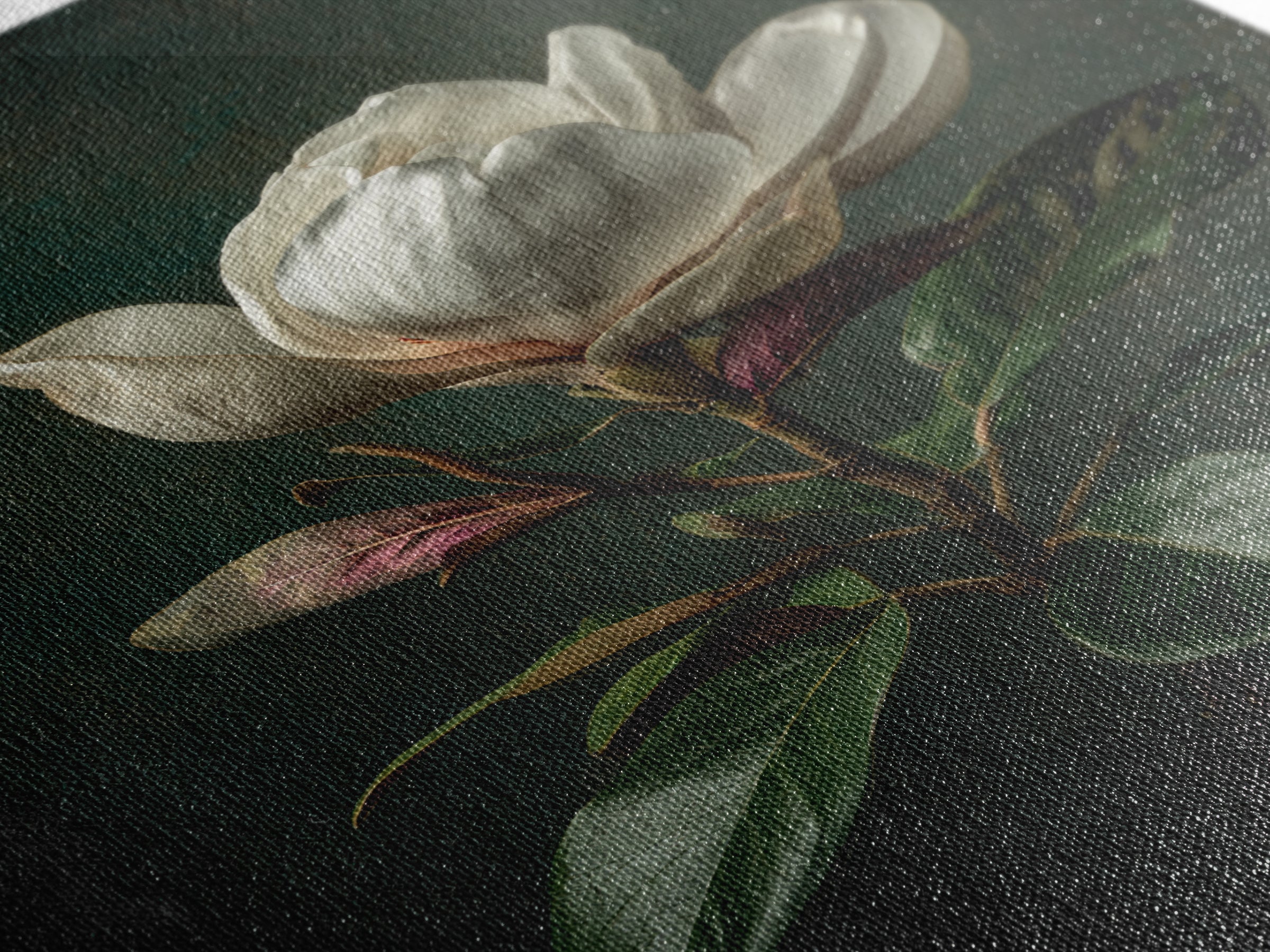 Dramatic White Magnolia on Dark Background Canvas Print, Botanical Art, Wall Art, Living Room Decor, Watercolor Art, Botanic, BOT-2x3-14