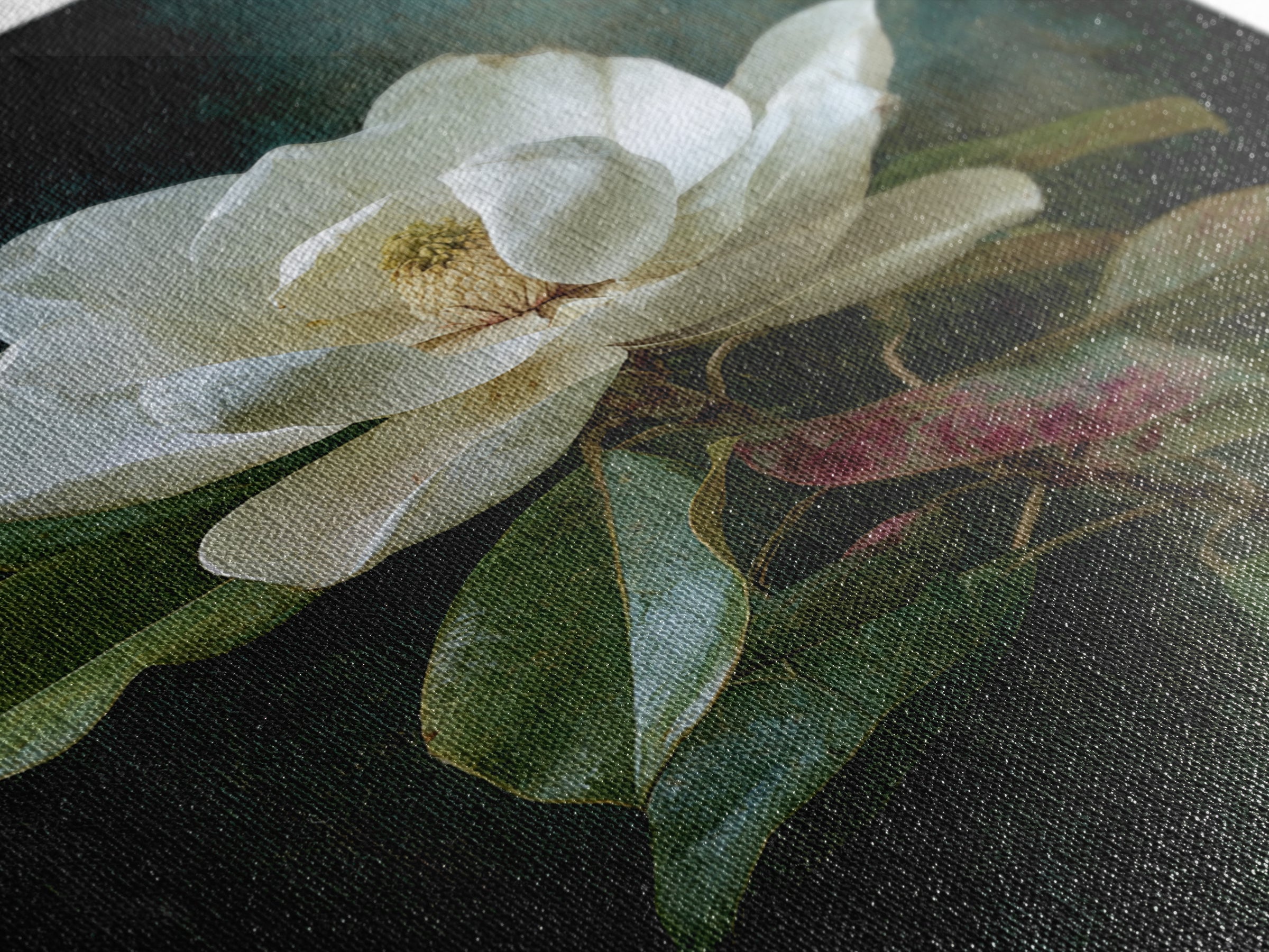 Dramatic White Magnolia on Dark Background Canvas Print, Botanical Art, Oil Painting, Living Room Decor, Fine Art, Botanic, BOT-2x3-86