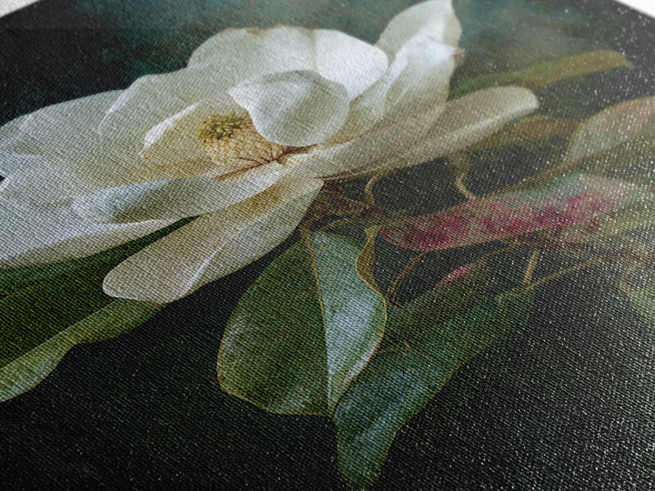 Dramatic White Magnolia on Dark Background Canvas Print, Botanical Art, Oil Painting, Living Room Decor, Fine Art, Botanic, BOT-2x3-86