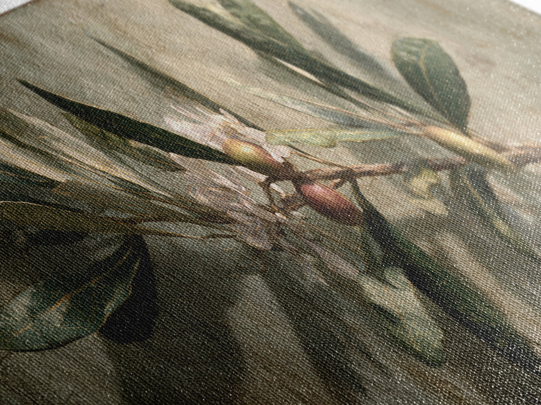 Single Olive Branch Framed Canvas Print, Botanical Art, Digital Art, Living Room Decor, Fine Art, Botanic, Printable Art, BOT-3x1-47
