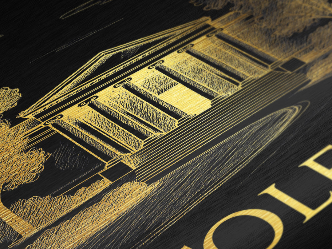 Toledo Ohio art, Metallic Gold Art, Housewarming Gift, Metal Art, Wood Framed Art, Newlywed Travel Gift, Honeymoon Gift