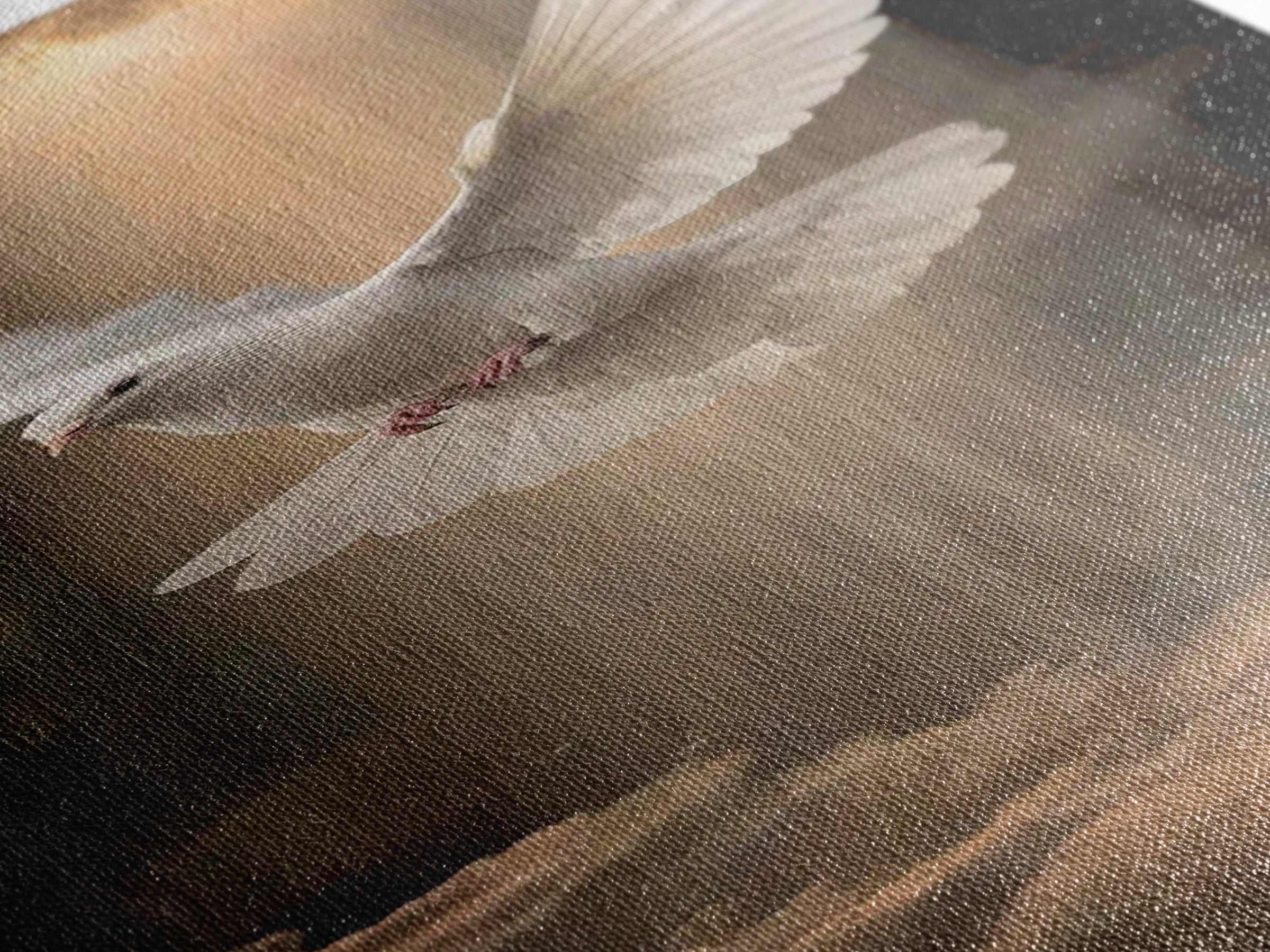 Heavenly Light Dove – Framed Canvas Print – Christian Wall Art – Christian Art – Subtle Christian Art – Skinny Art – Christian Art Canvas