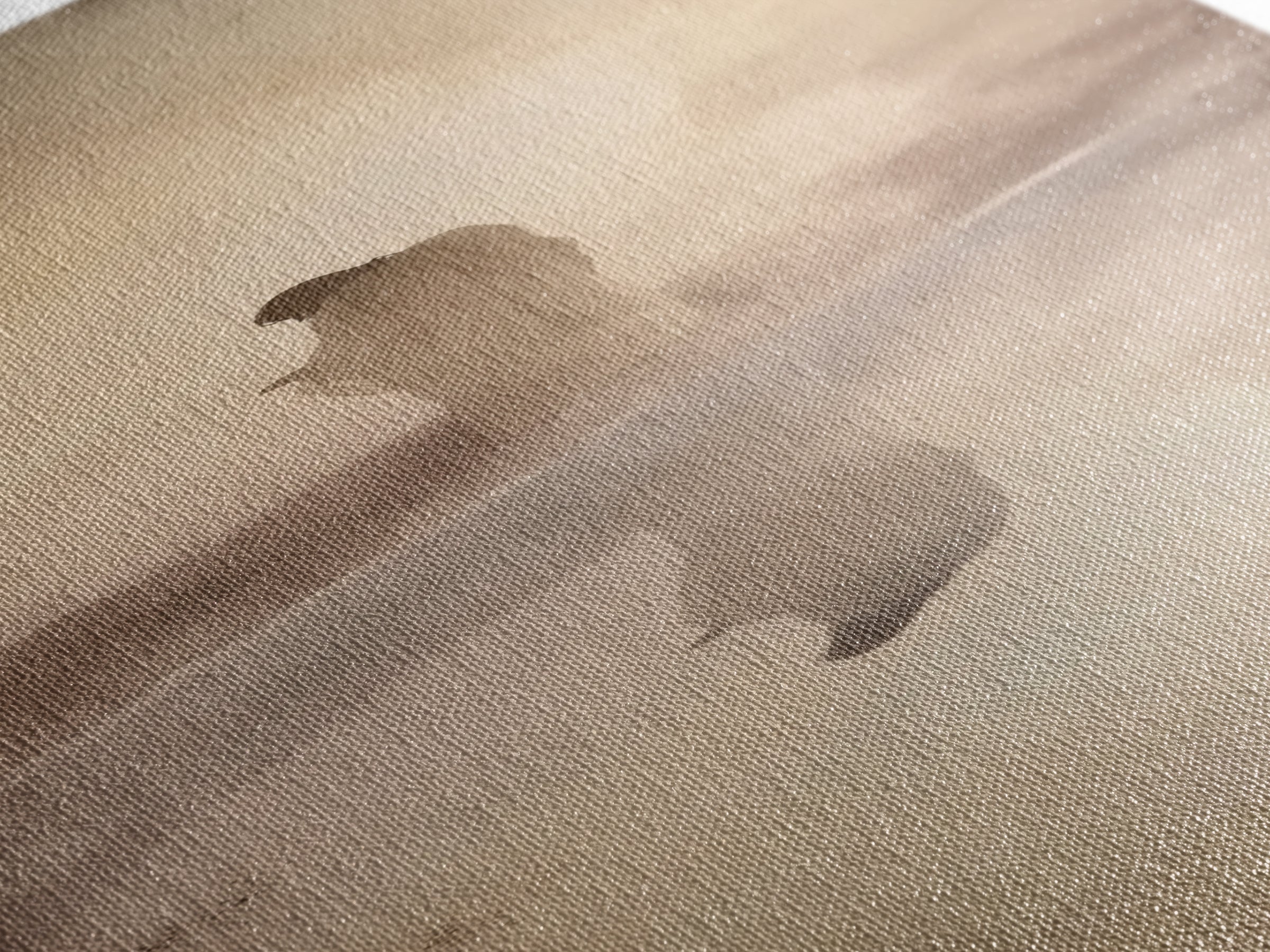 Desert Redeemer | Framed Canvas Print | Skinny Art | Christian Wall Art | Subtle Christian Art | Moody Christian Art