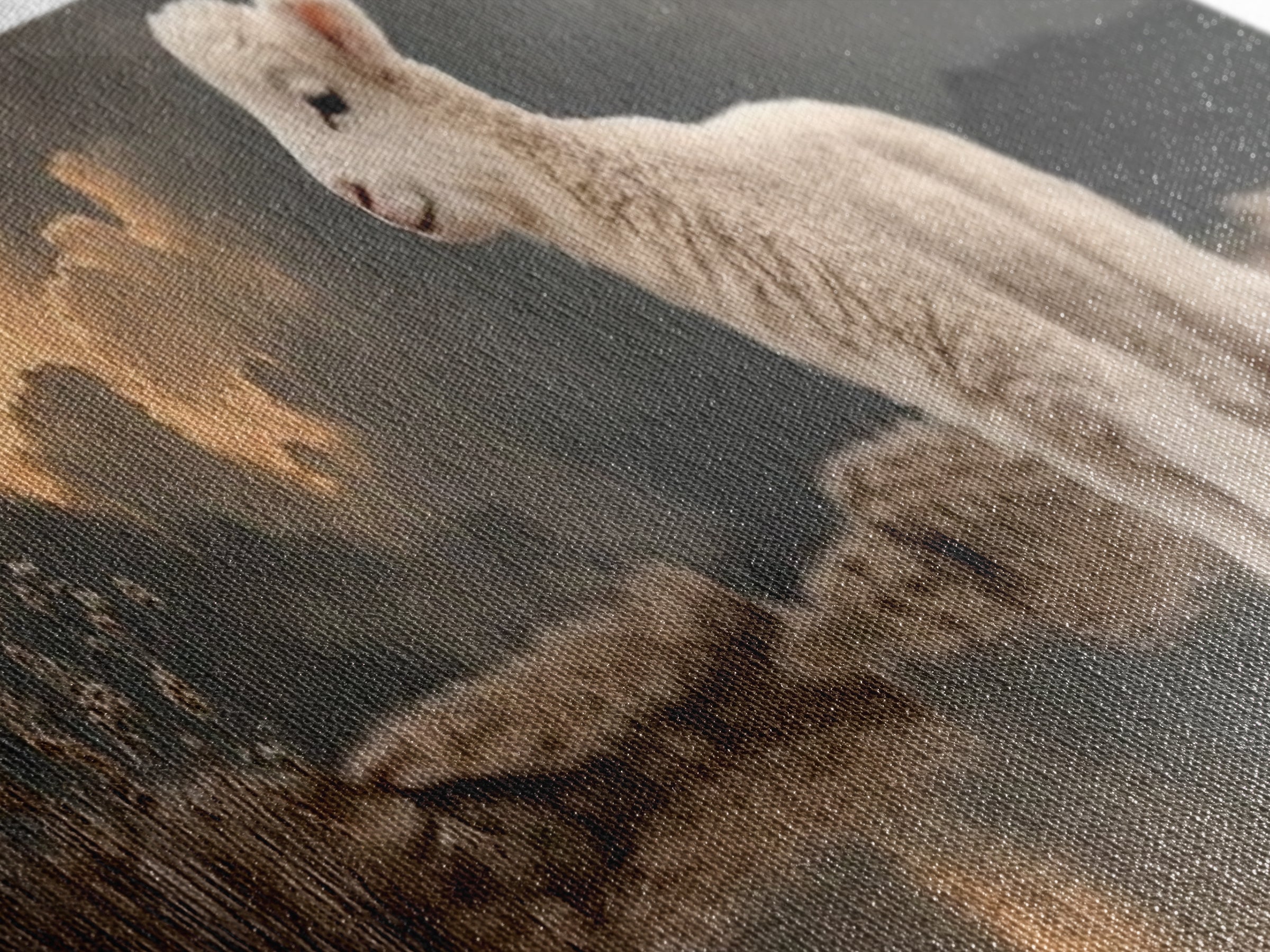 Lamb Of Dawn – Framed Canvas Print – Panoramic Print – Christian Wall Art – Christian Art Canvas – Christian Art – Christian Gift – Christi