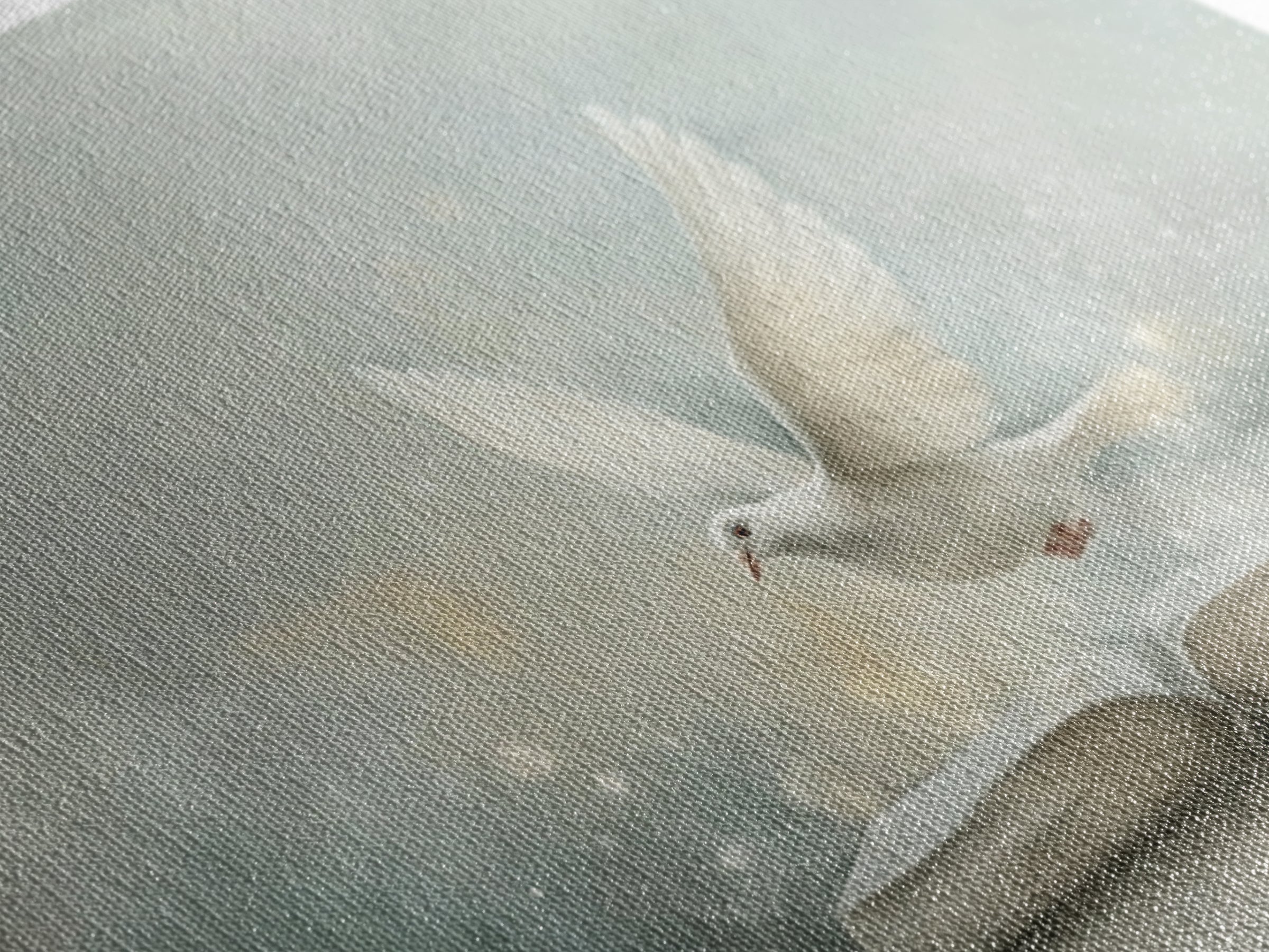 Dove Of Grace, Framed Canvas Print, Christian Art Canvas, Christian Wall Art, Christian Gift Ideas, Modern Christian Art, Christian Paintin