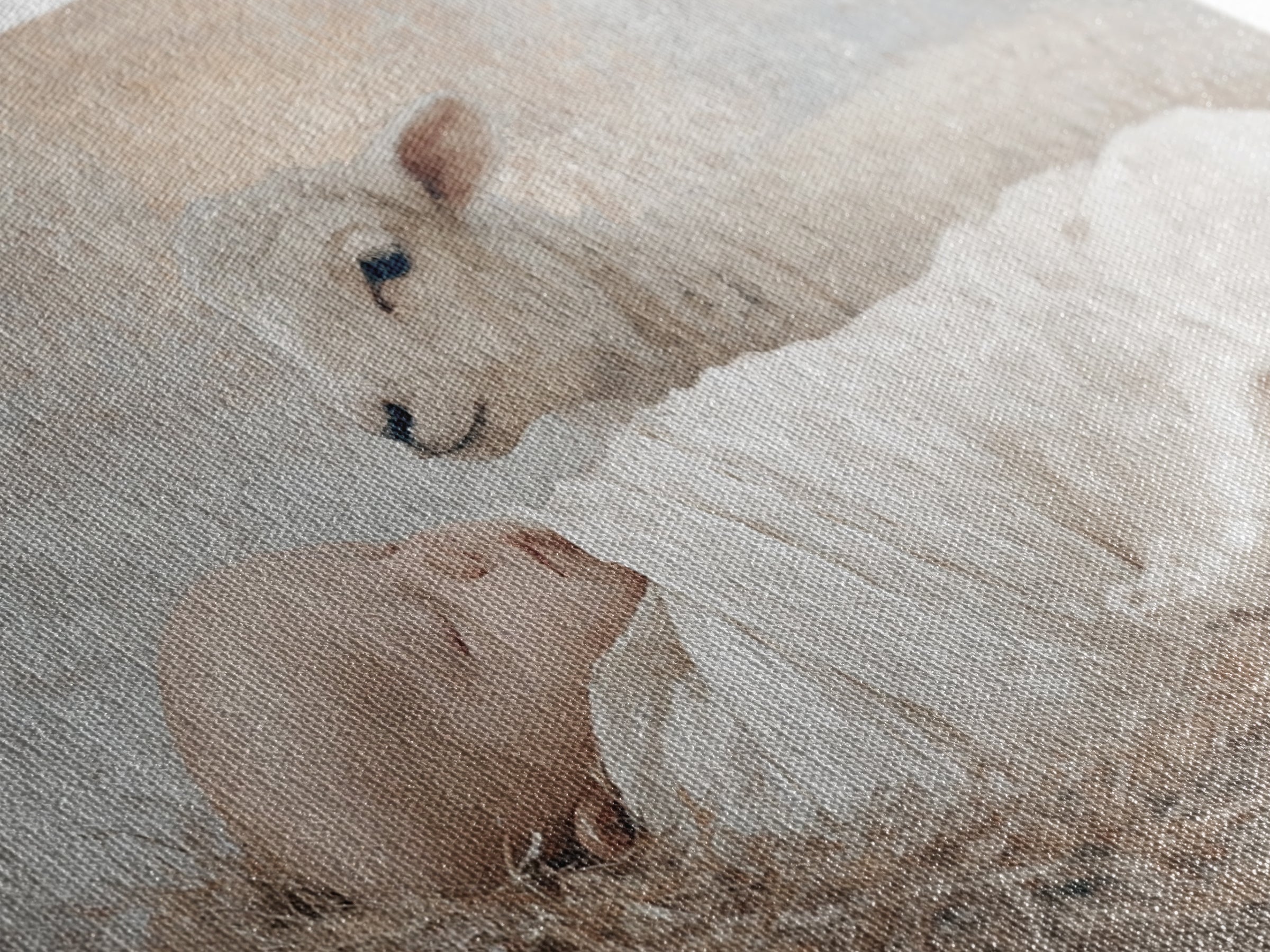 Little Lamb Grace, Framed Canvas Print, Christian Wall Art, Christian Art Canvas, Christmas Art, Christian Painting
