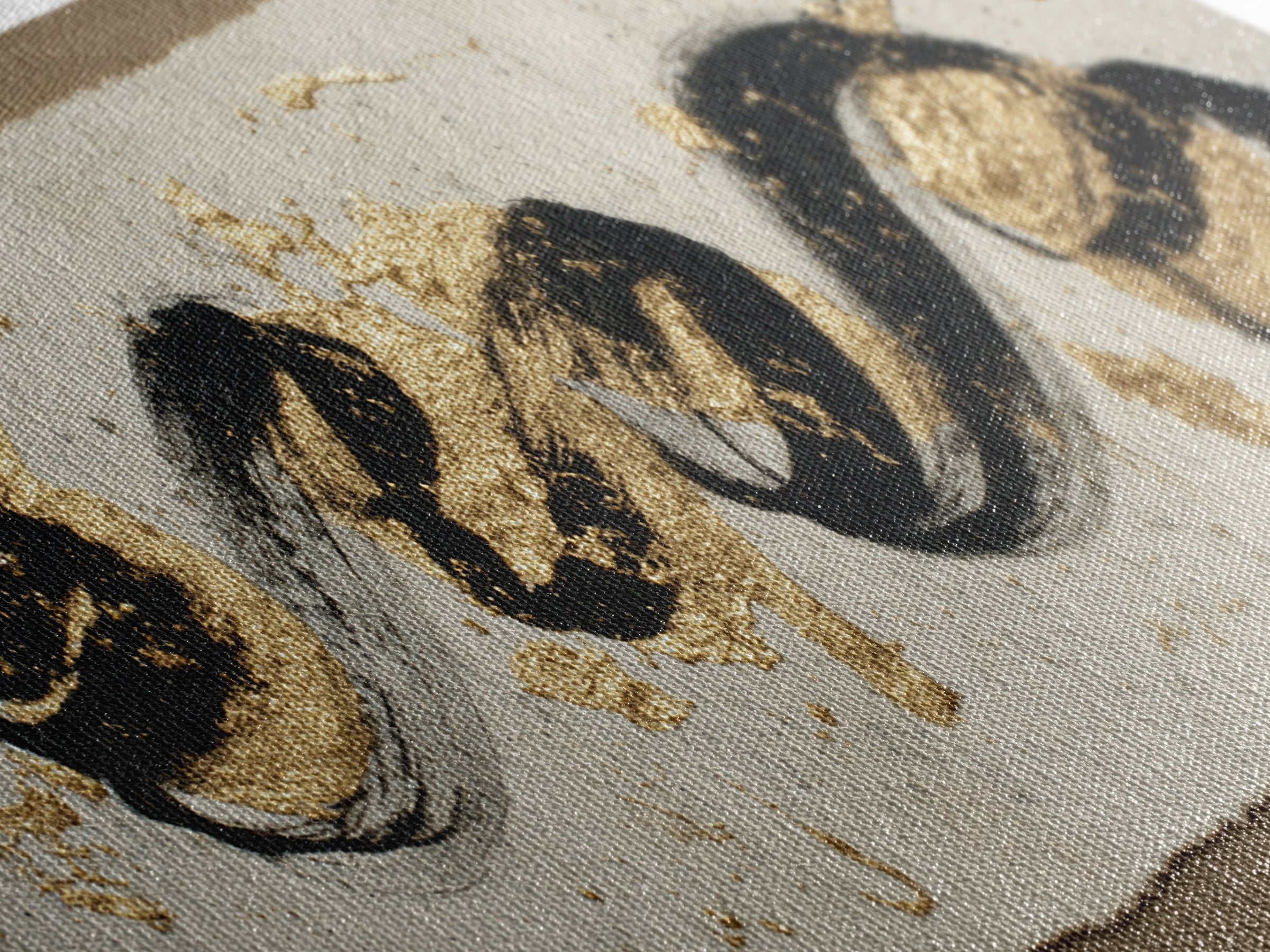 Gold Leaf Calligraphic Spiral on Plaster Surface Canvas Print, Calligraphy Art, Wall Art, Living Room Decor, Watercolor Art, CAL-2x1-58