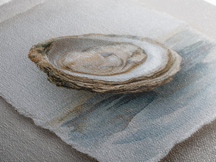 Oyster Shell Study Framed Canvas Print, Coastal Art, Beach Art, Coastal Decor, Oil Painting, Coastal, Room Decor, COA-1x1-51