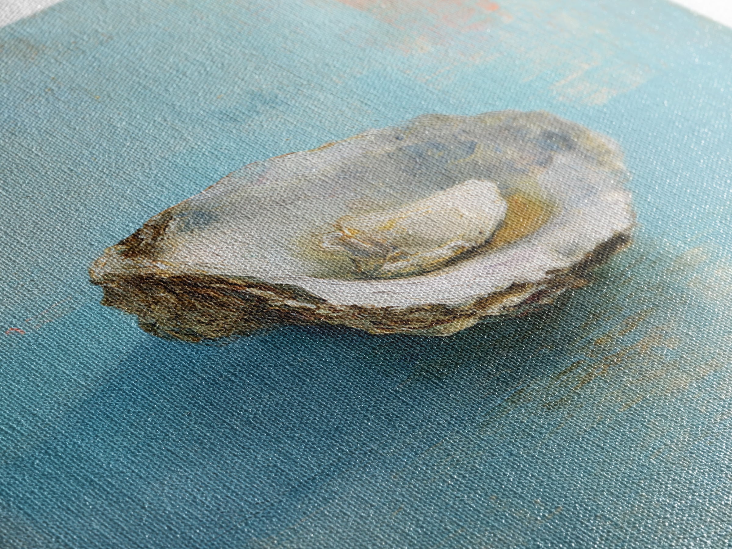 Oyster Shell Study Canvas Print, Coastal Art, Wall Art, Coastal Decor, Fine Art, Coastal, Bird Art, Wood Art, Nautical Decor, COA-1x1-99