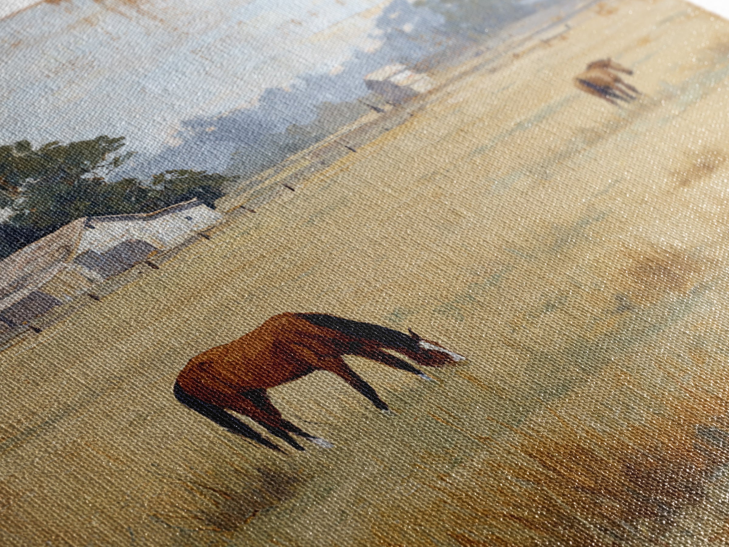 Rolling Pasture with Grazing Horses at Sunrise Canvas Print, Country Art, Neutral Decor, Farmhouse Decor, Fine Art, Country, COU-1x1-49