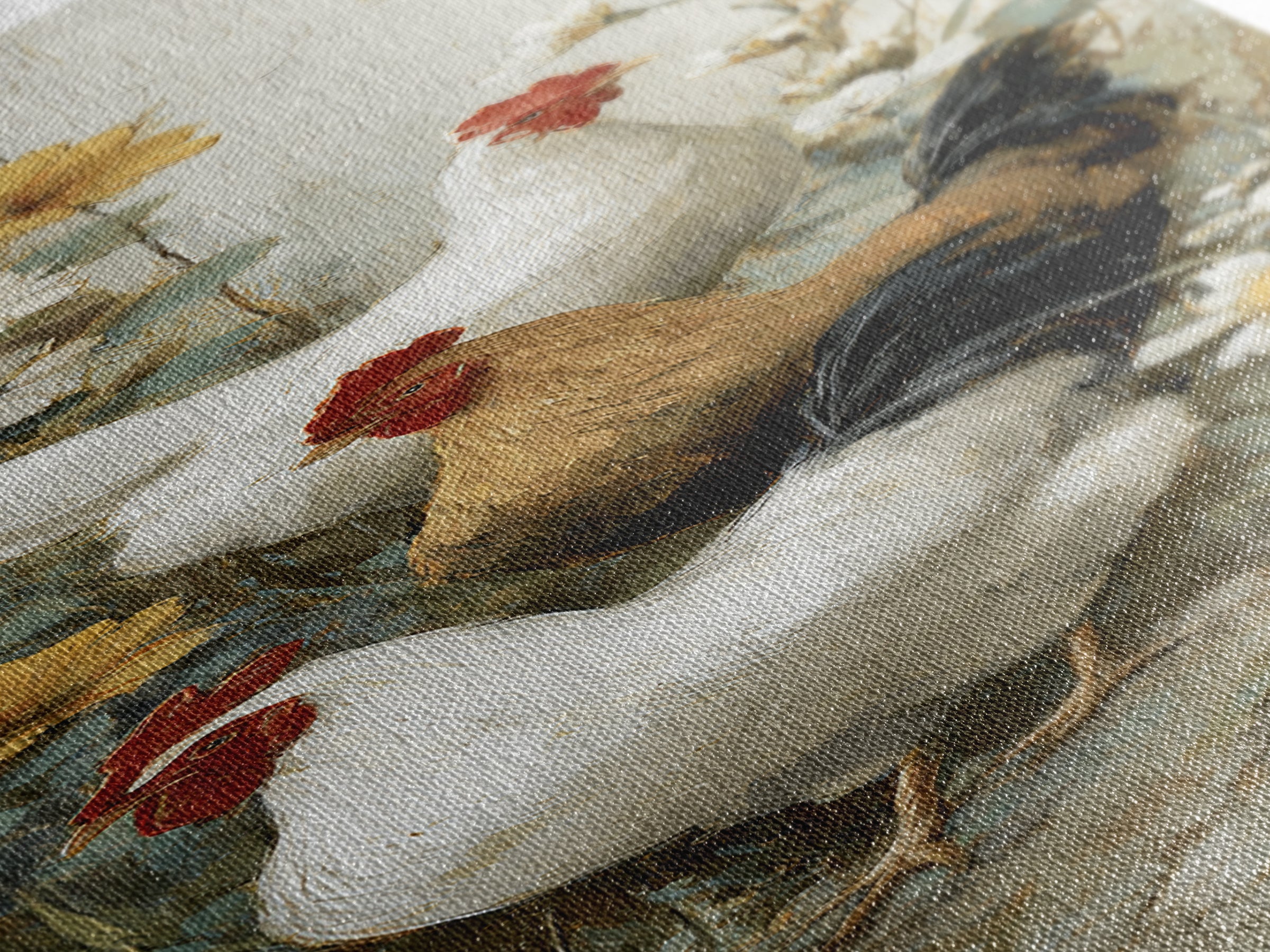 Chickens Pecking Near Garden Flowers Canvas Print, Country Art, Landscape Painting, Farmhouse Decor, Watercolor Art, Country, COU-1x3-26