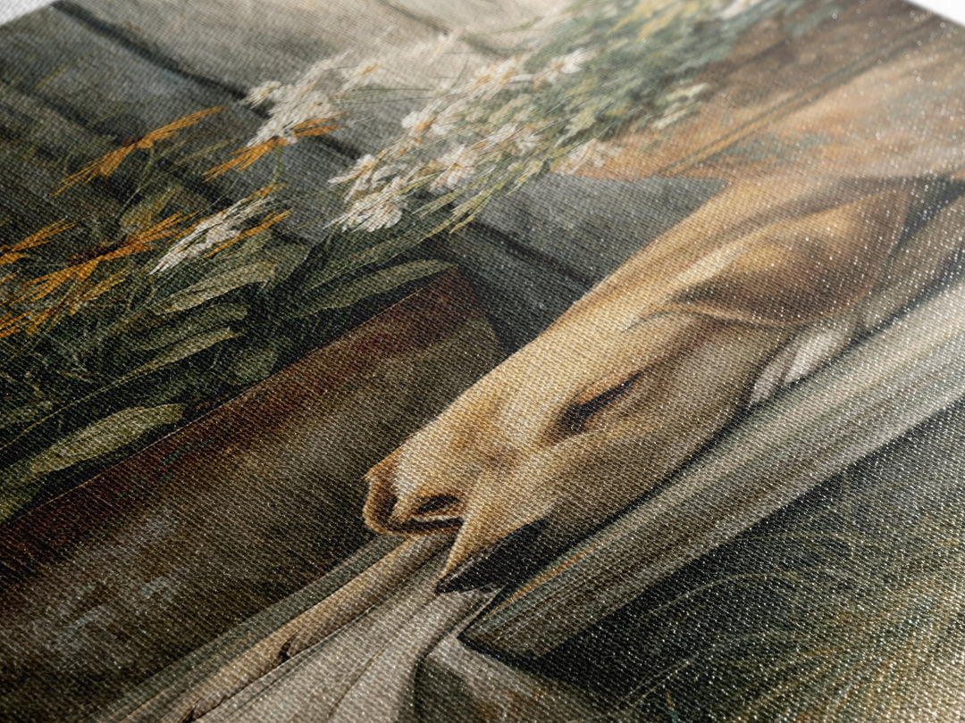 Dog Resting Beside a Porch Flower Pot Canvas Print, Country Art, Gallery Decor, Farmhouse Decor, Fine Art, Country, COU-1x3-82