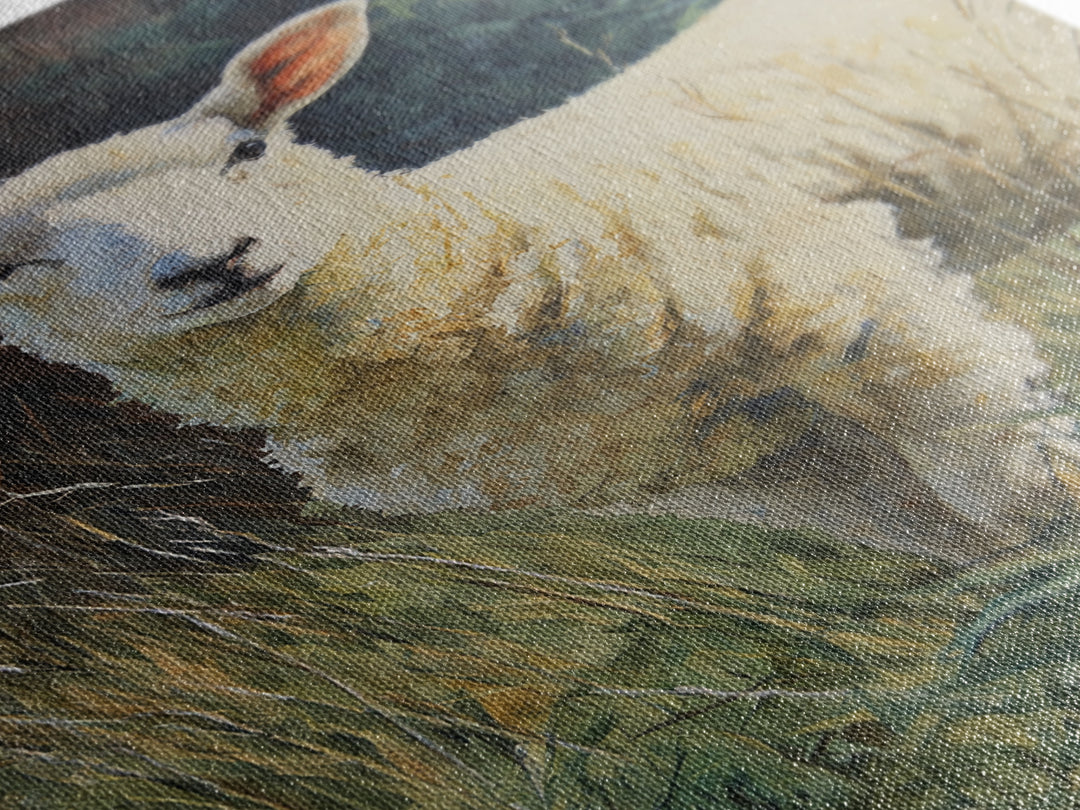 Watercolor Sheep in a Green Pasture Canvas Print, Country Art, Fine Art Print, Farmhouse Decor, Country, Digital Prints, COU-2x3-31