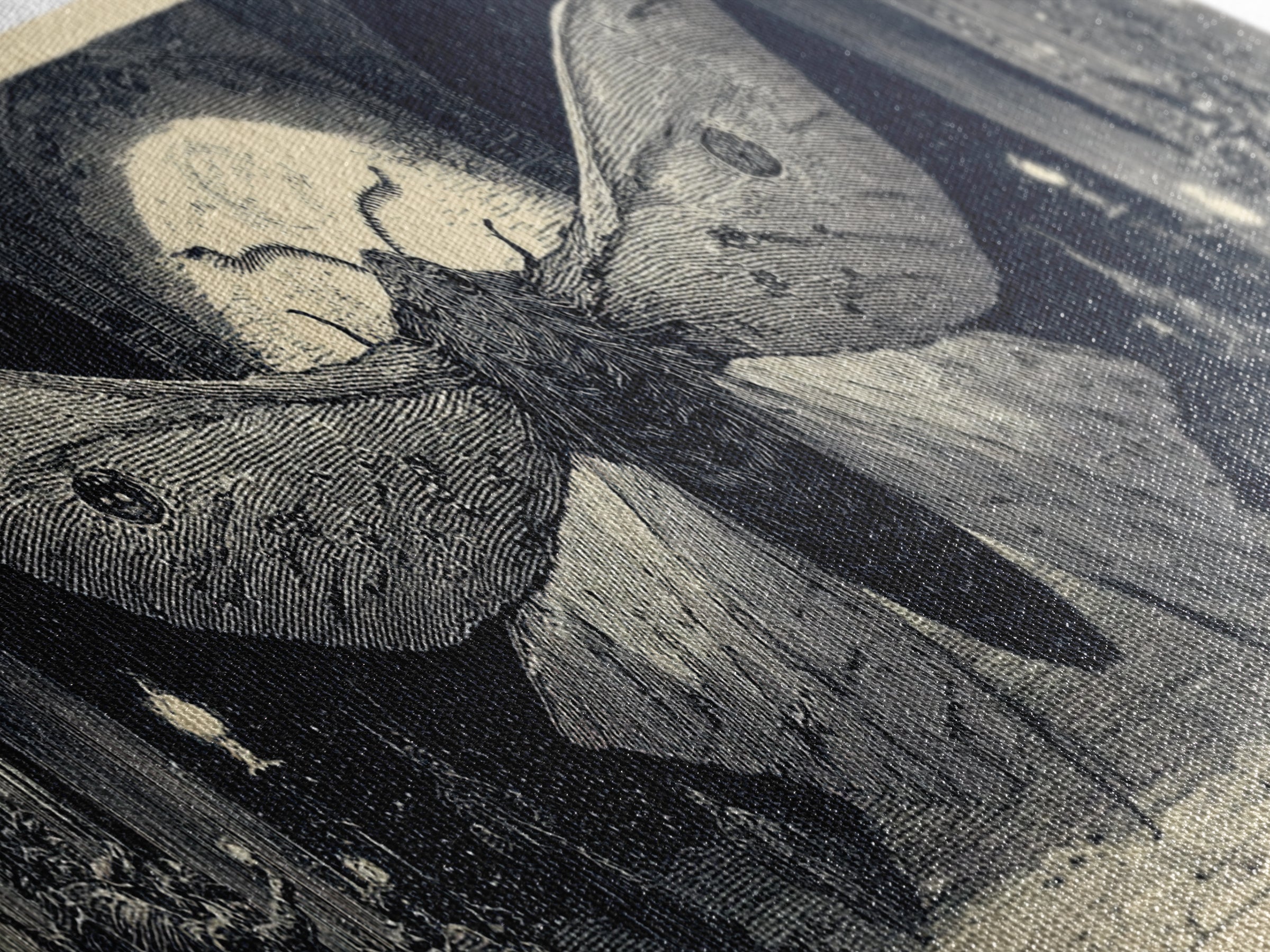 The Red-Eyed Moth Creature, Renaissance Engraving Art, Extra Wide Wall Art, Dark Halloween Decor, Canvas Print, Halloween Wall Art